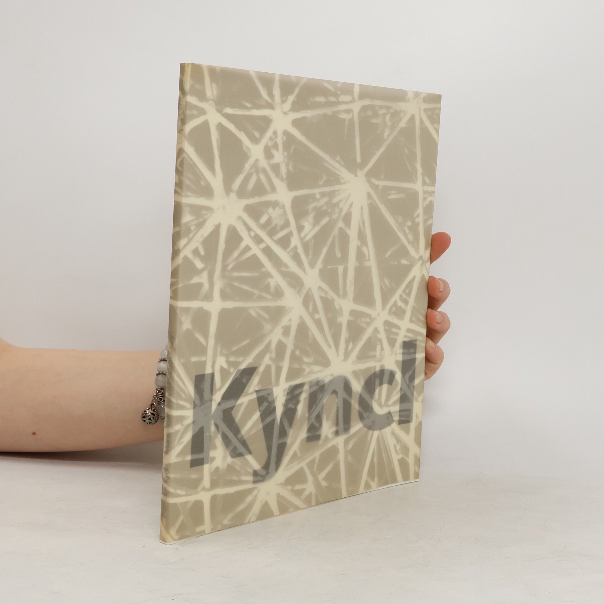 Kolektiv autorů Kyncl