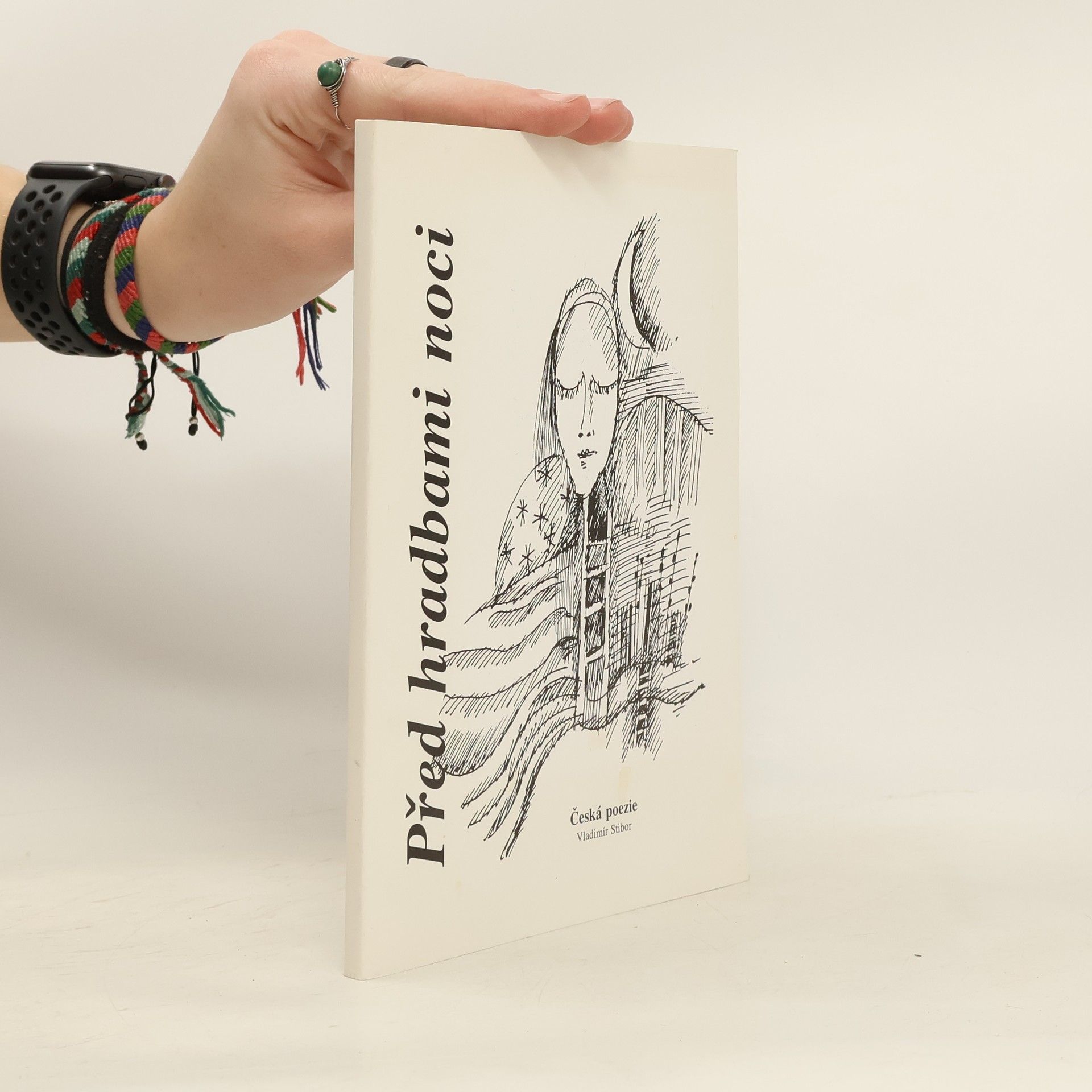 Kolektív autorov Před hradbami noci