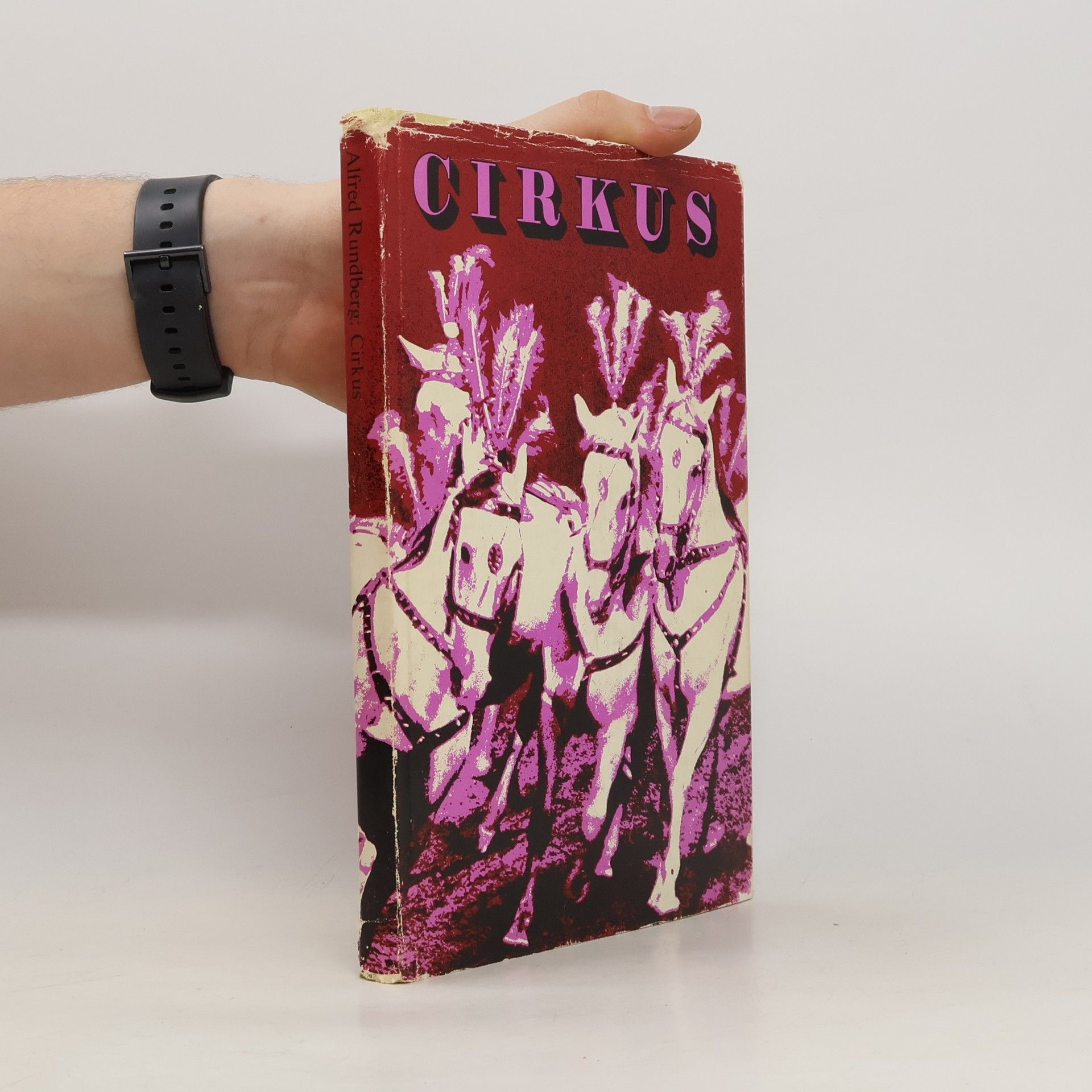 Alfred Rundberg Cirkus