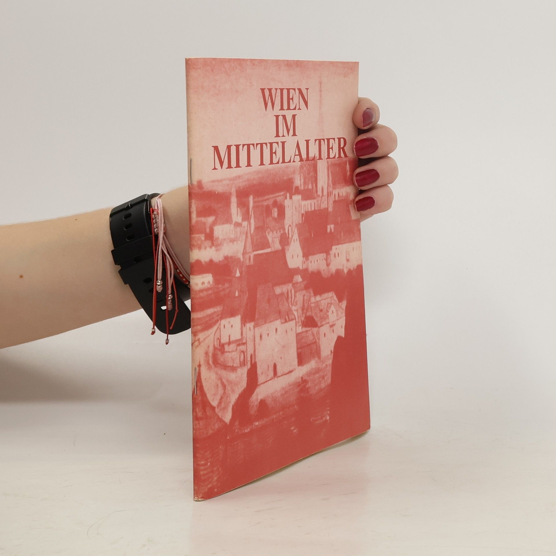 kolektiv Wien im Mittelalter