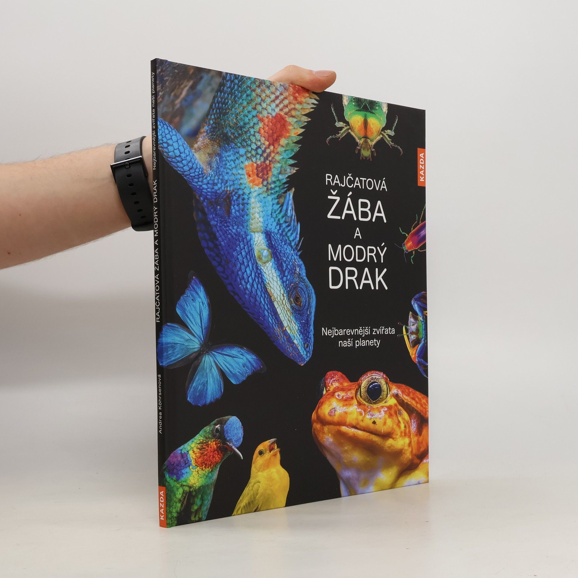 Autorenkollektiv Rajčatová žába a modrý drak: nejbarevnější zvířata naší planety