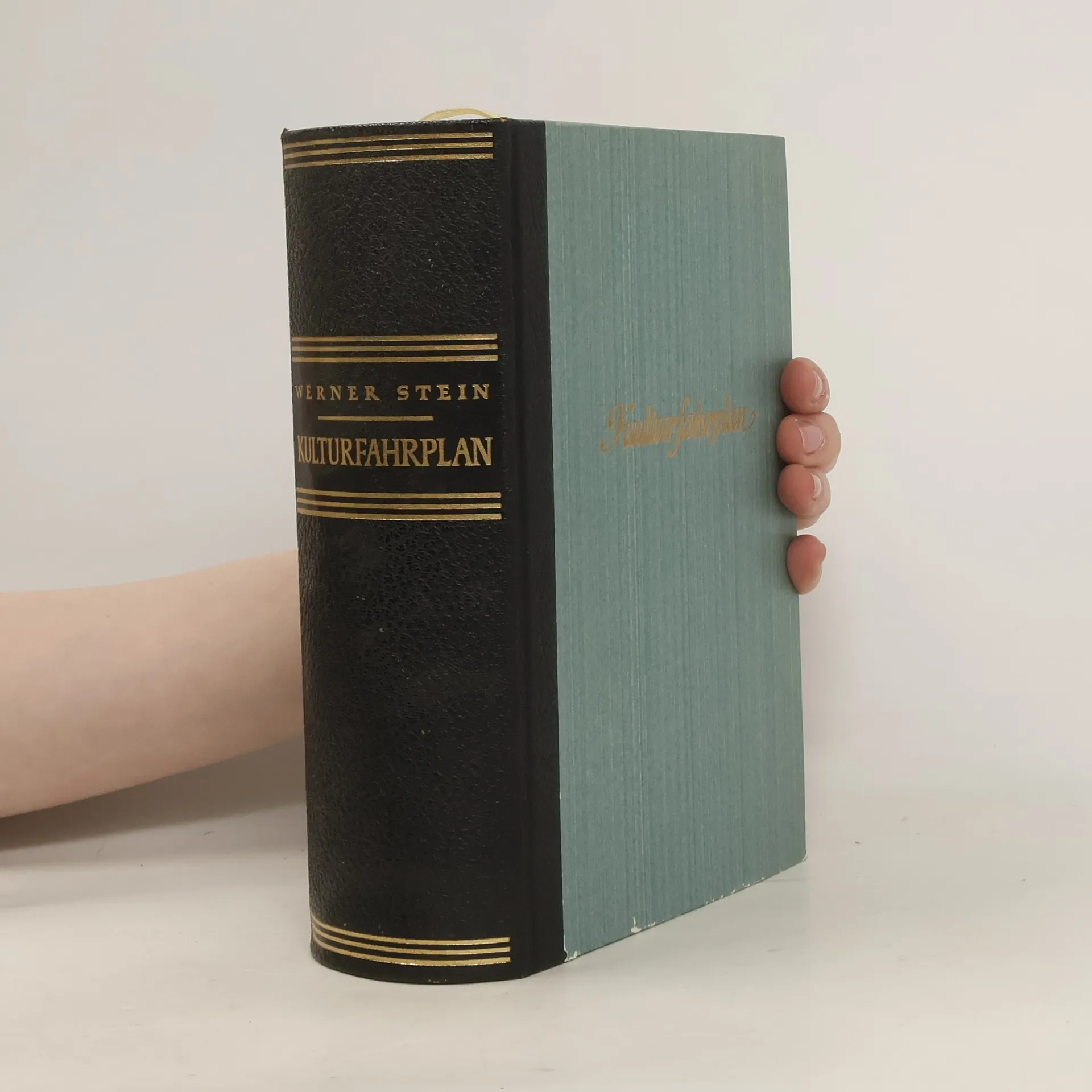 Kulturfahrplan | Buch | Werner Stein