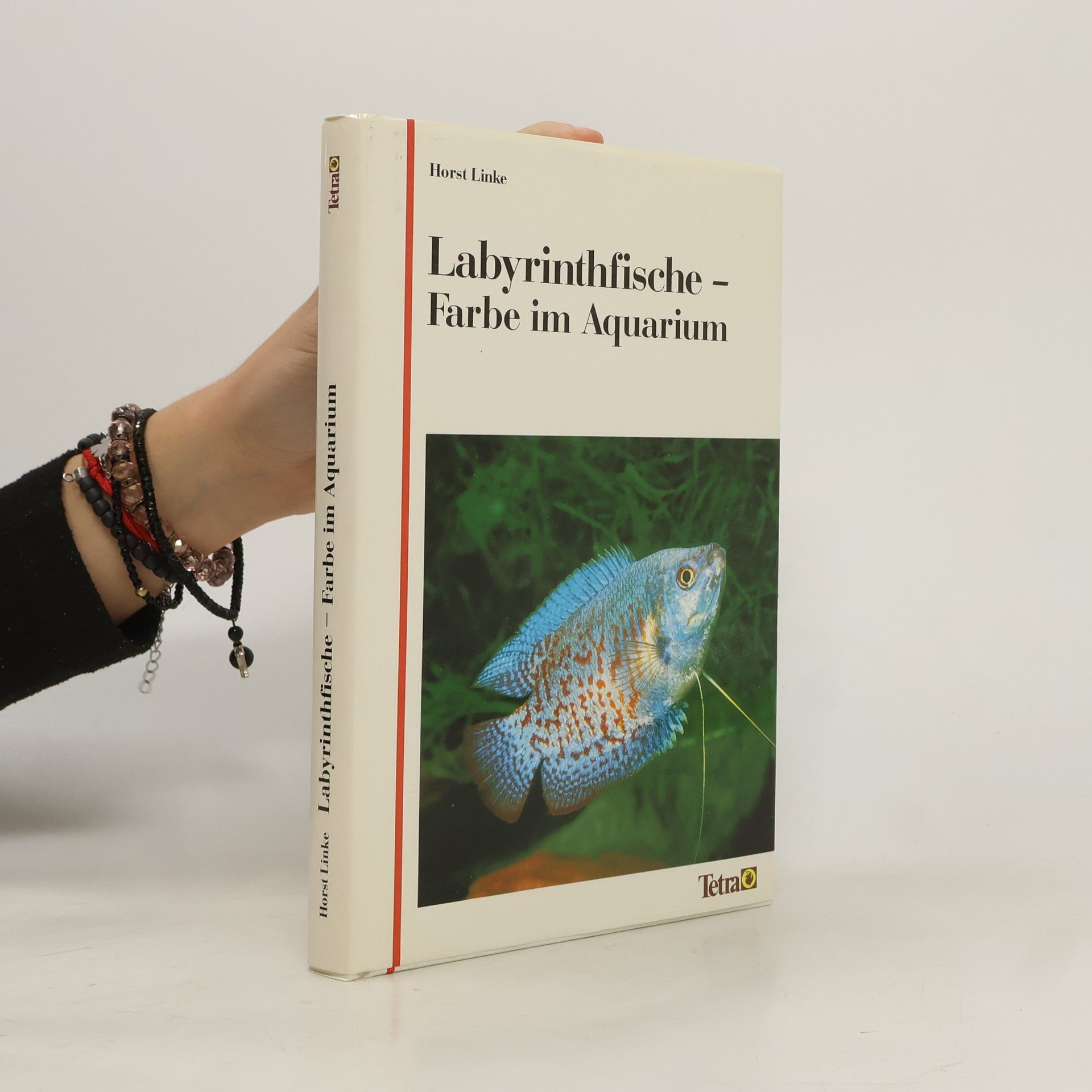Horst Linke Labyrinthfische, Farbe im Aquarium