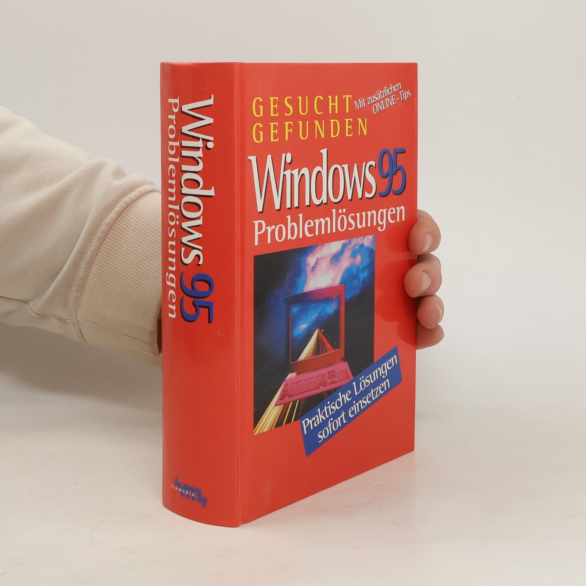 Autorenkollektiv Windows 95. Problemlösungen