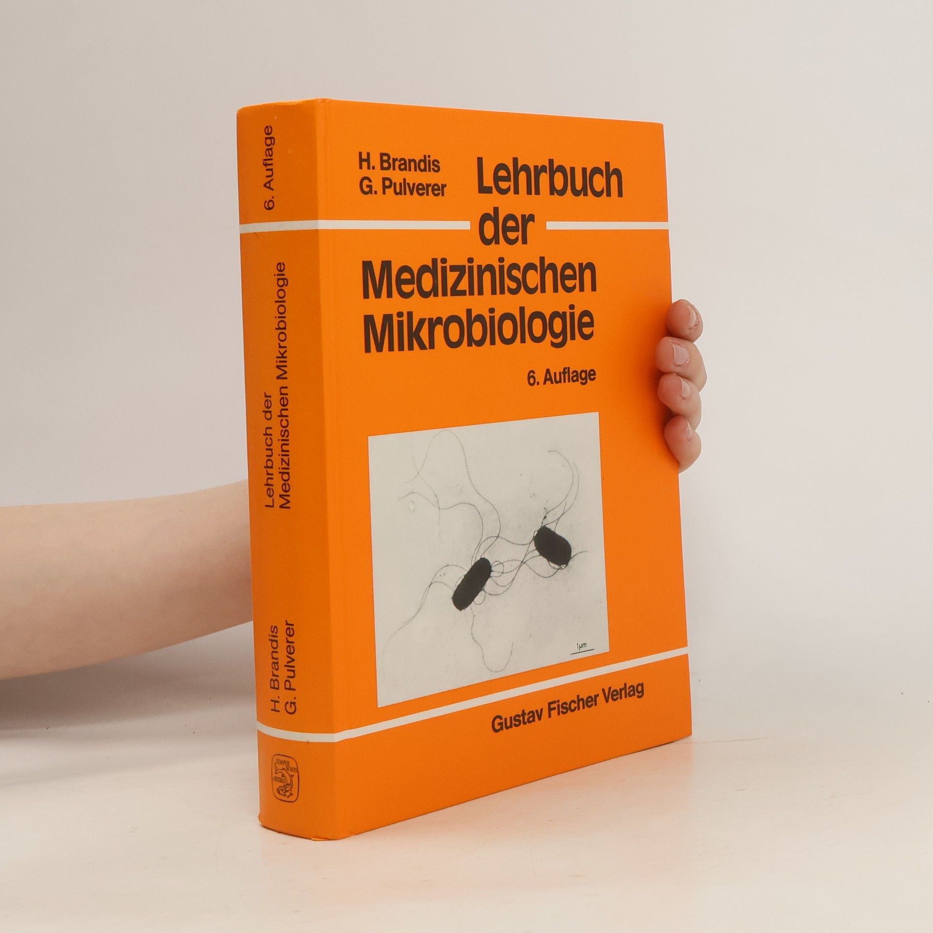 Gerhard Pulvever Lehrbuch der medizinischen Mikrobiologie