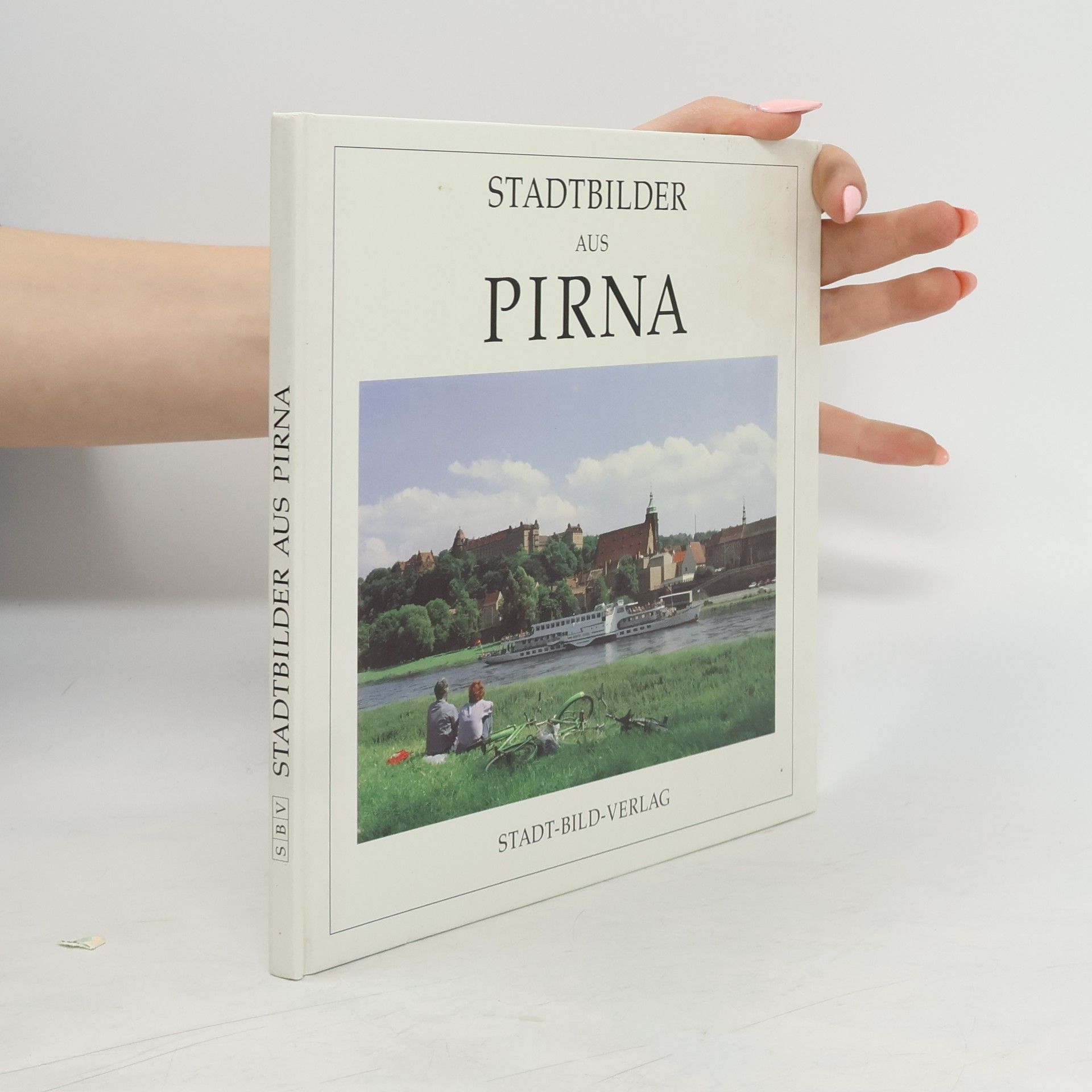 Bednarek Schmidt Stadtbilder aus Pirna