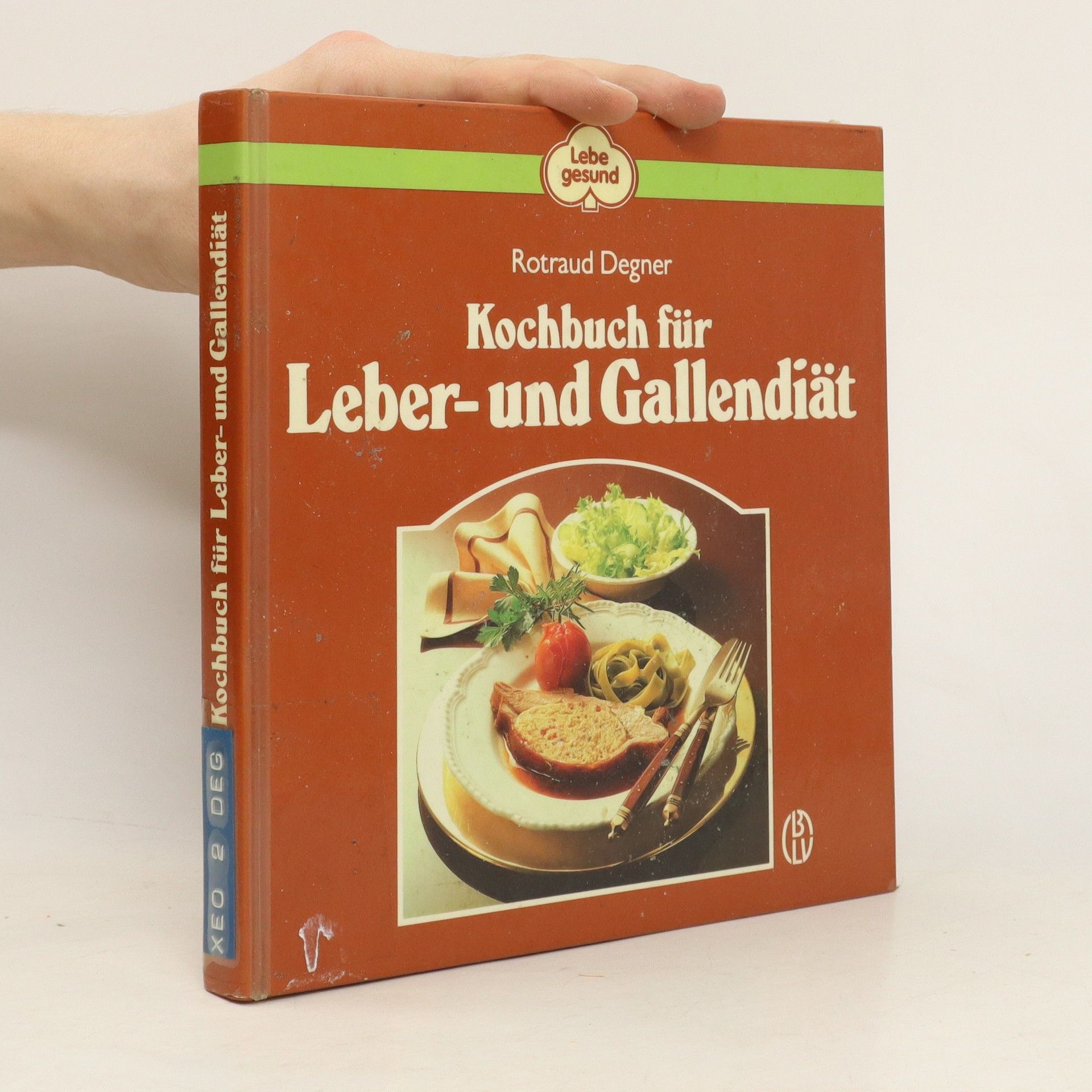 Rotraud Michael Degner Kochbuch für Leber und Gallendiät