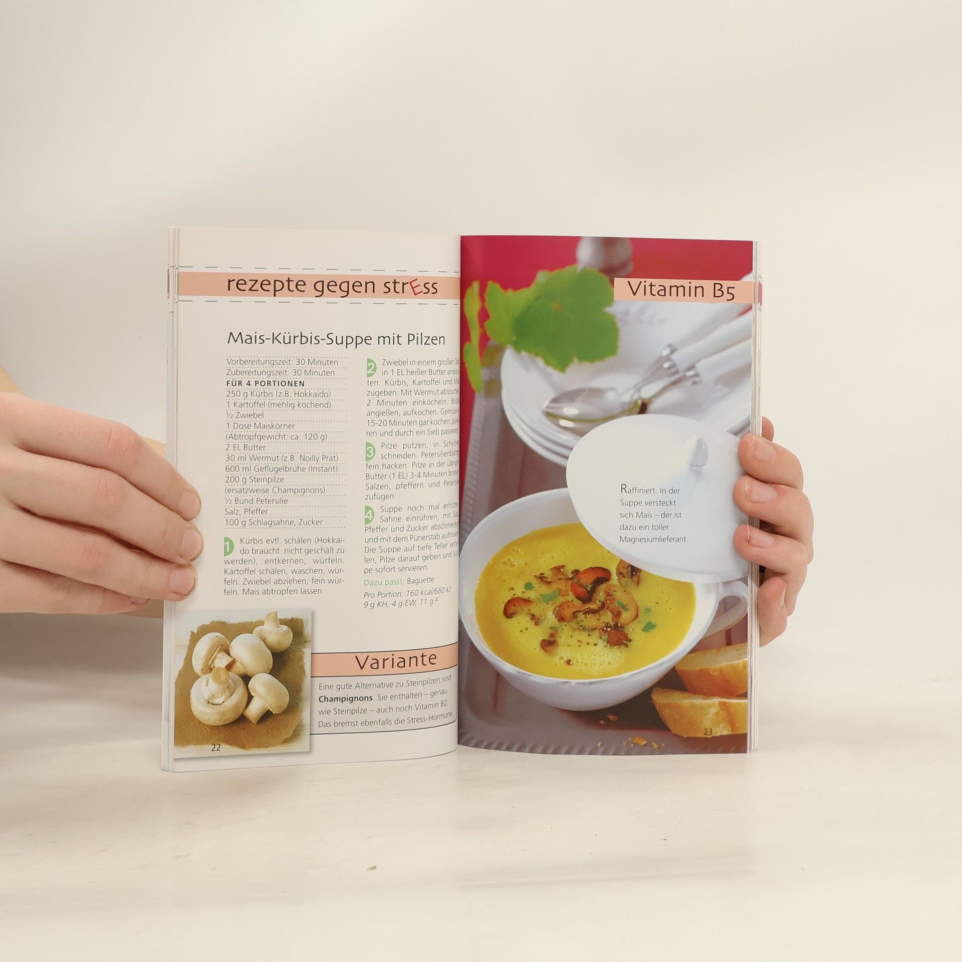 Kolektiv autorů Rezepte gegen Stress