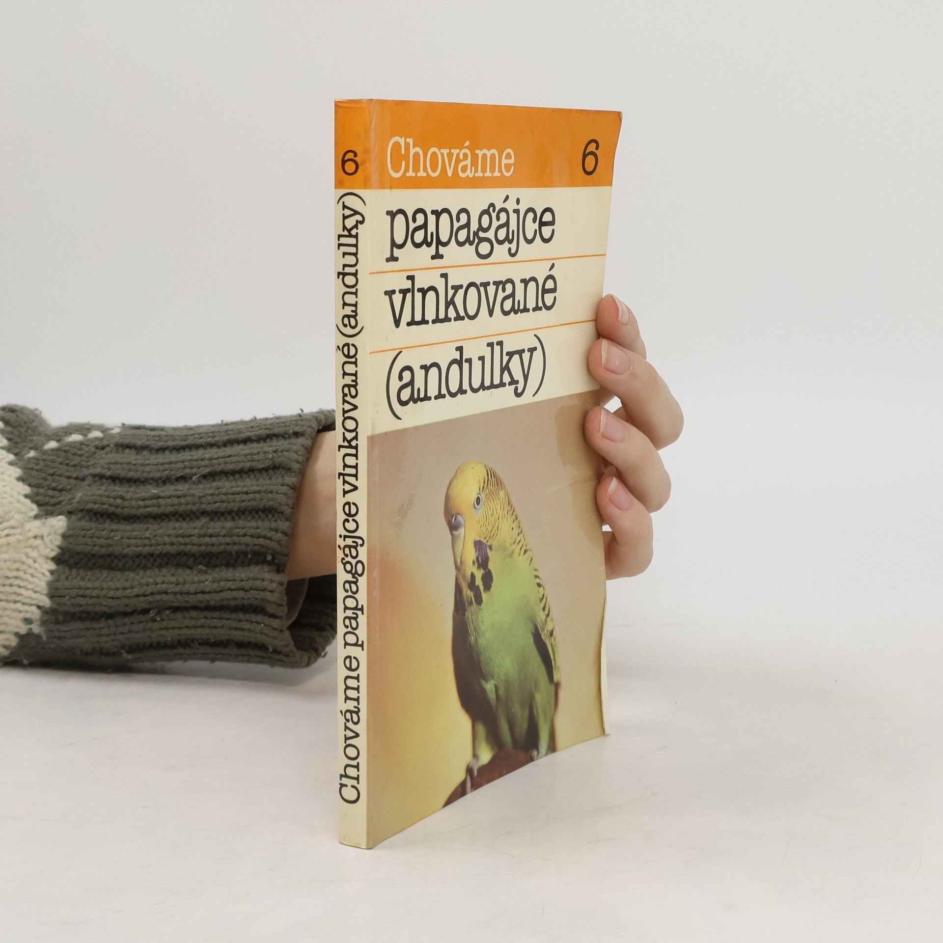 Bystrík Ambruš Chováme papagájce vlnkované (andulky)