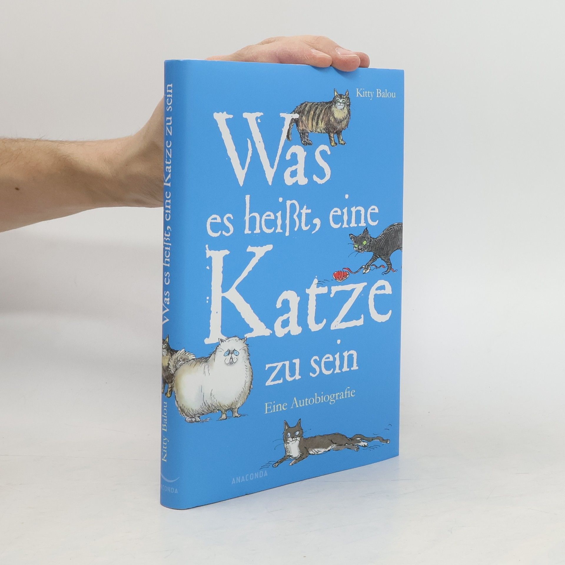 Kitty Balou Was es heißt, eine Katze zu sein