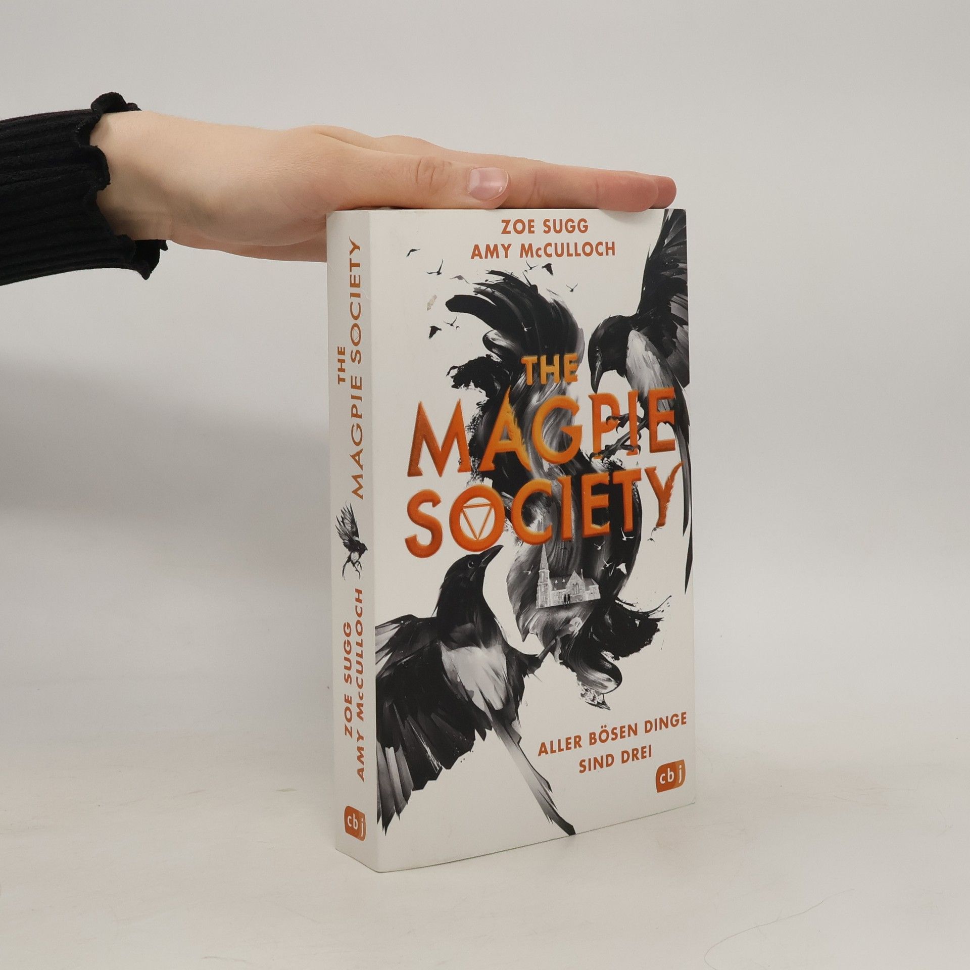Amy McCulloch The Magpie Society - Aller bösen Dinge sind drei