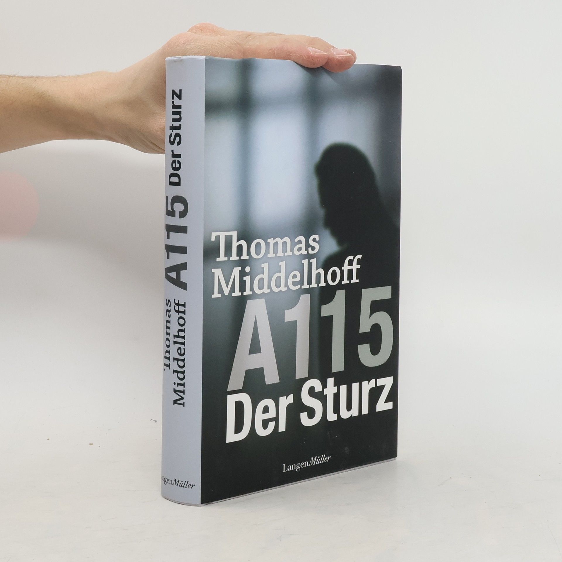 Thomas Middelhoff A115. Der Sturz
