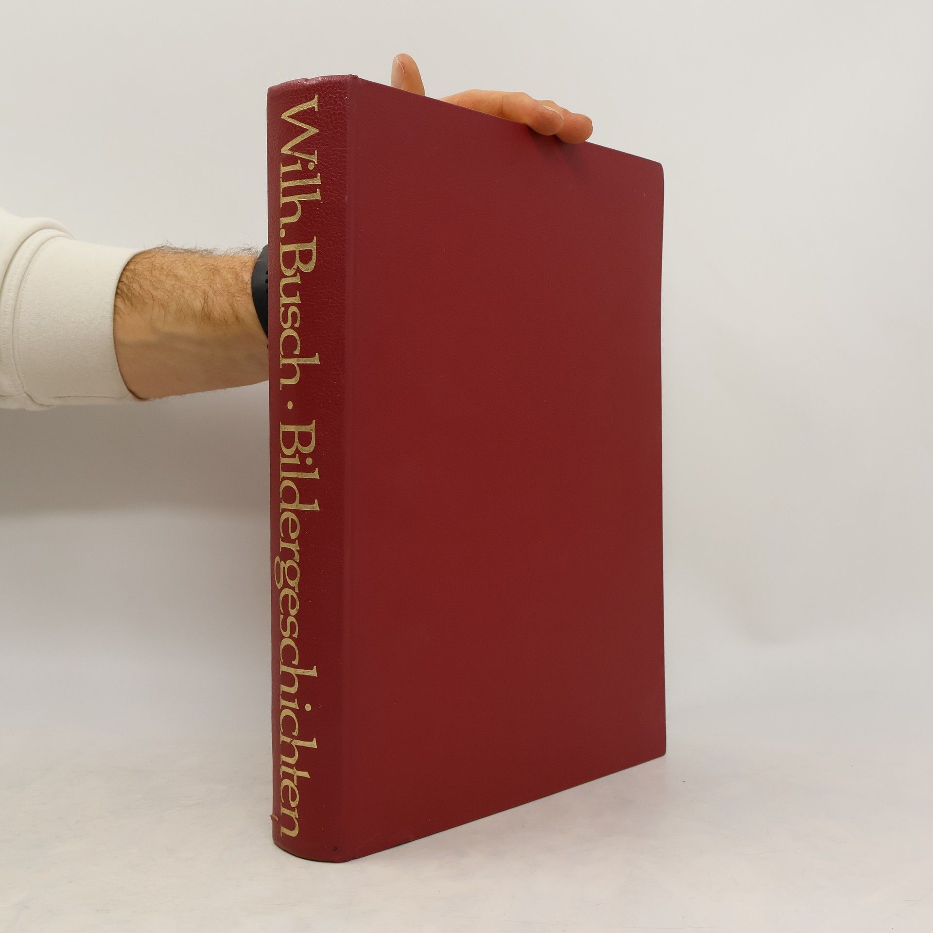 Wilhelm Busch Bildergeschichten
