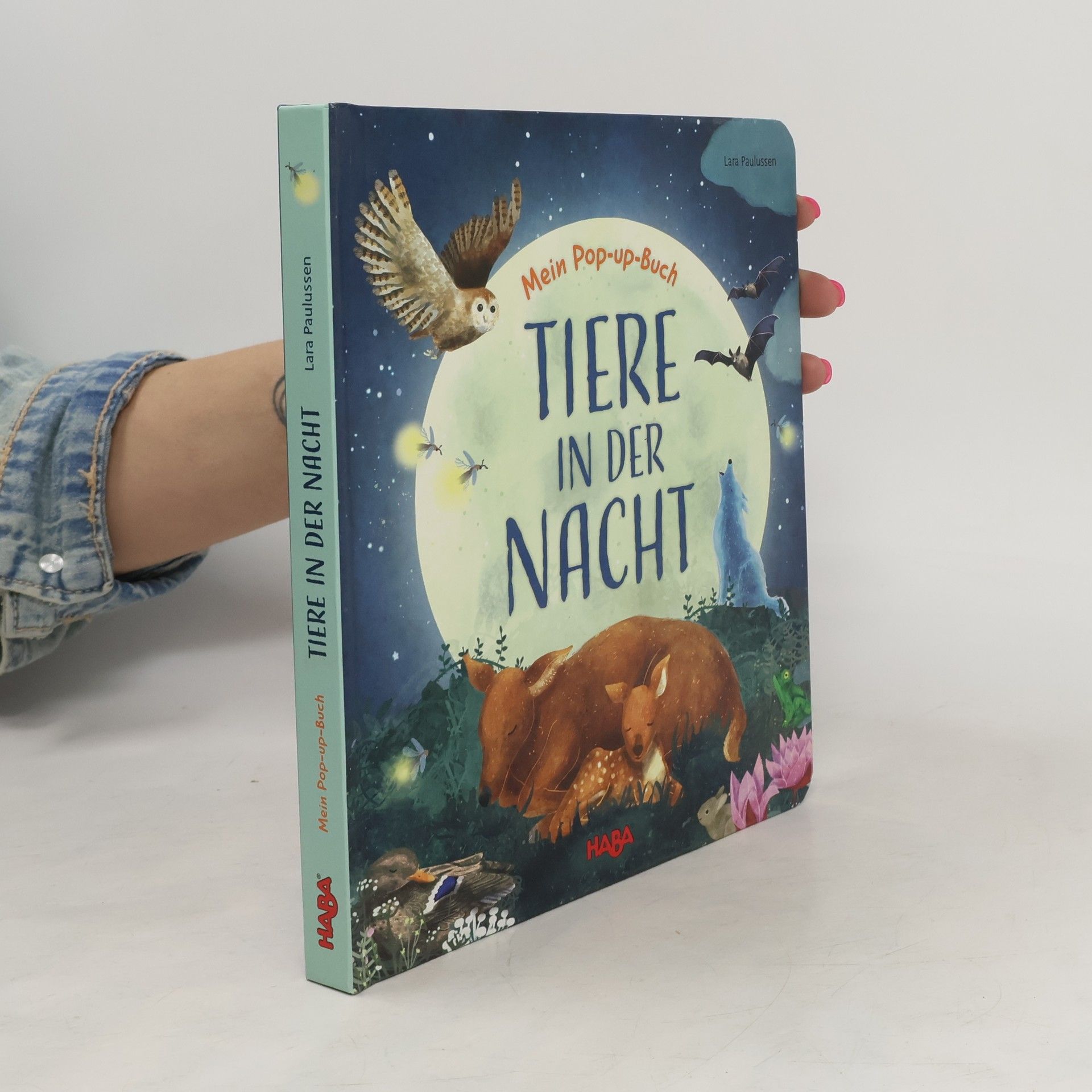 Becky Davies Mein Pop-up-Buch – Tiere in der Nacht