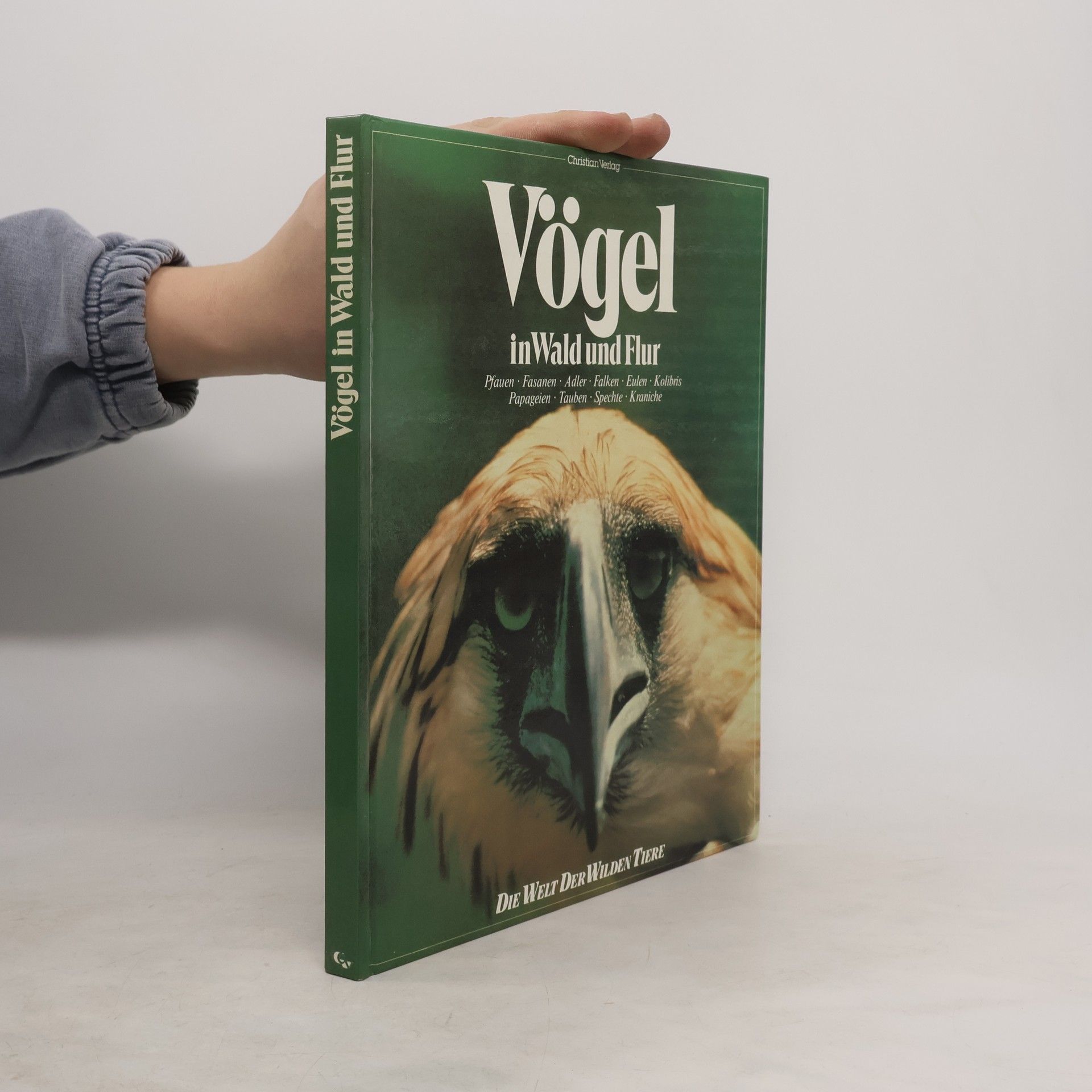 Autorenkollektiv Vögel in Wald und Flur