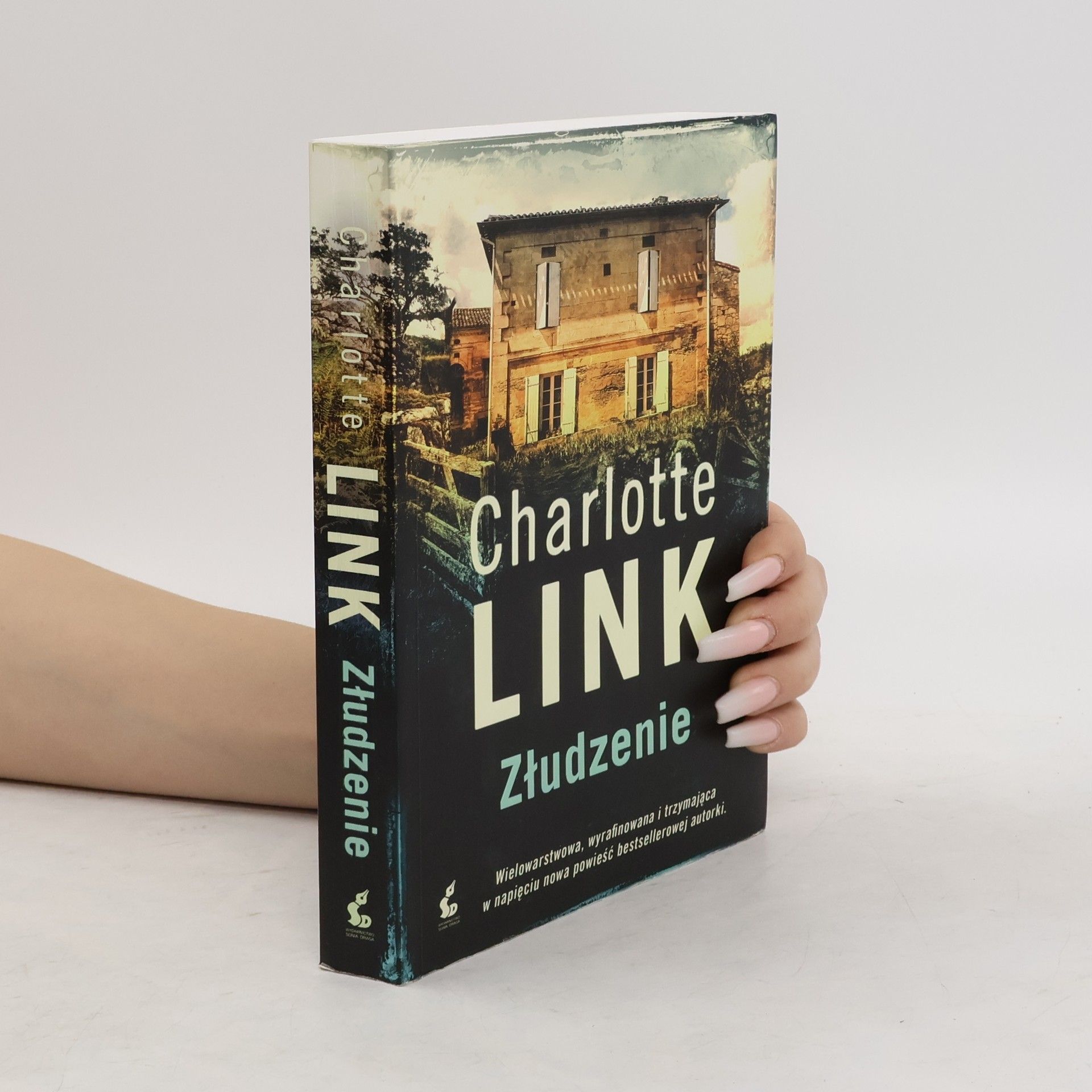 Charlotte Link Złudzenie