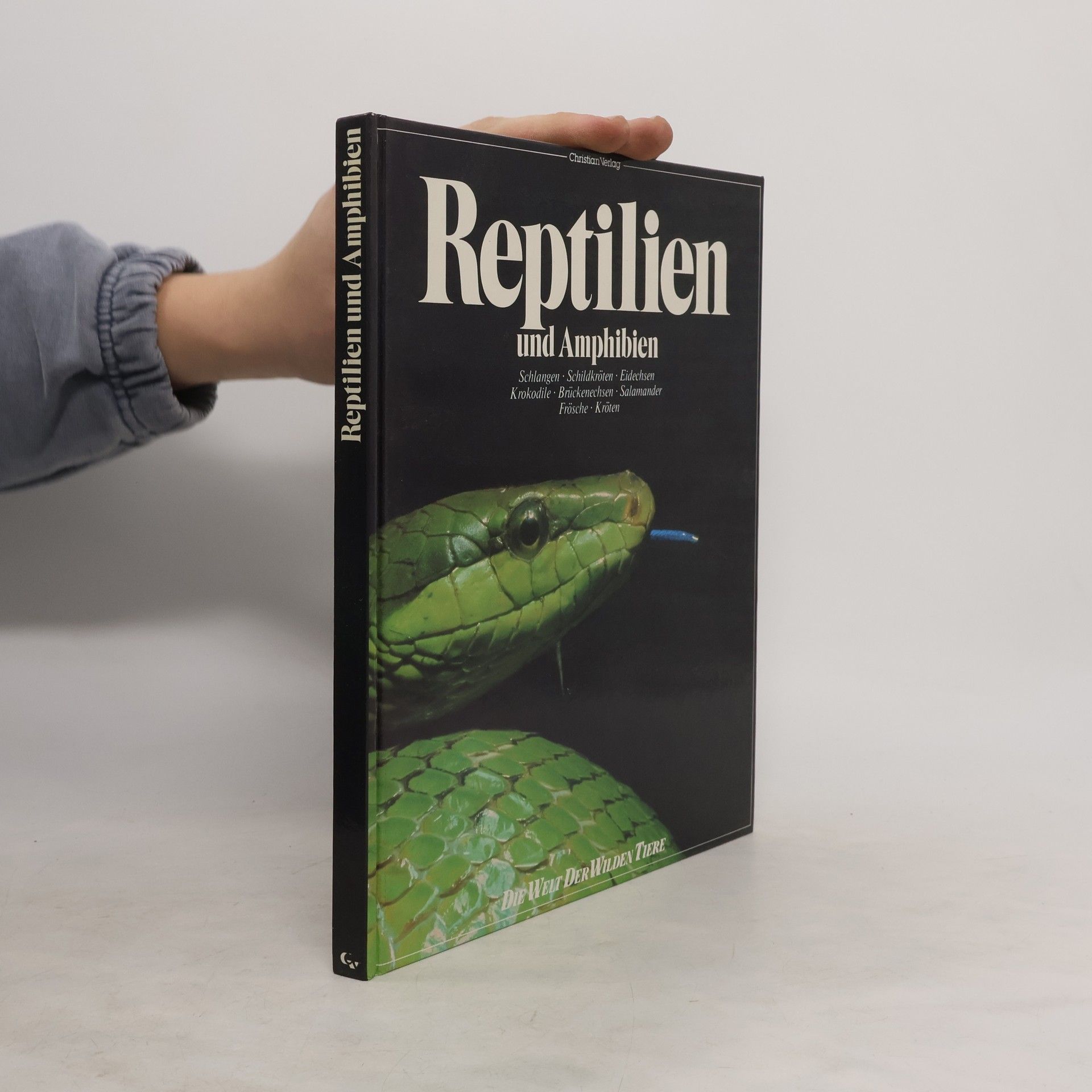Collective Reptilien und Amphibien