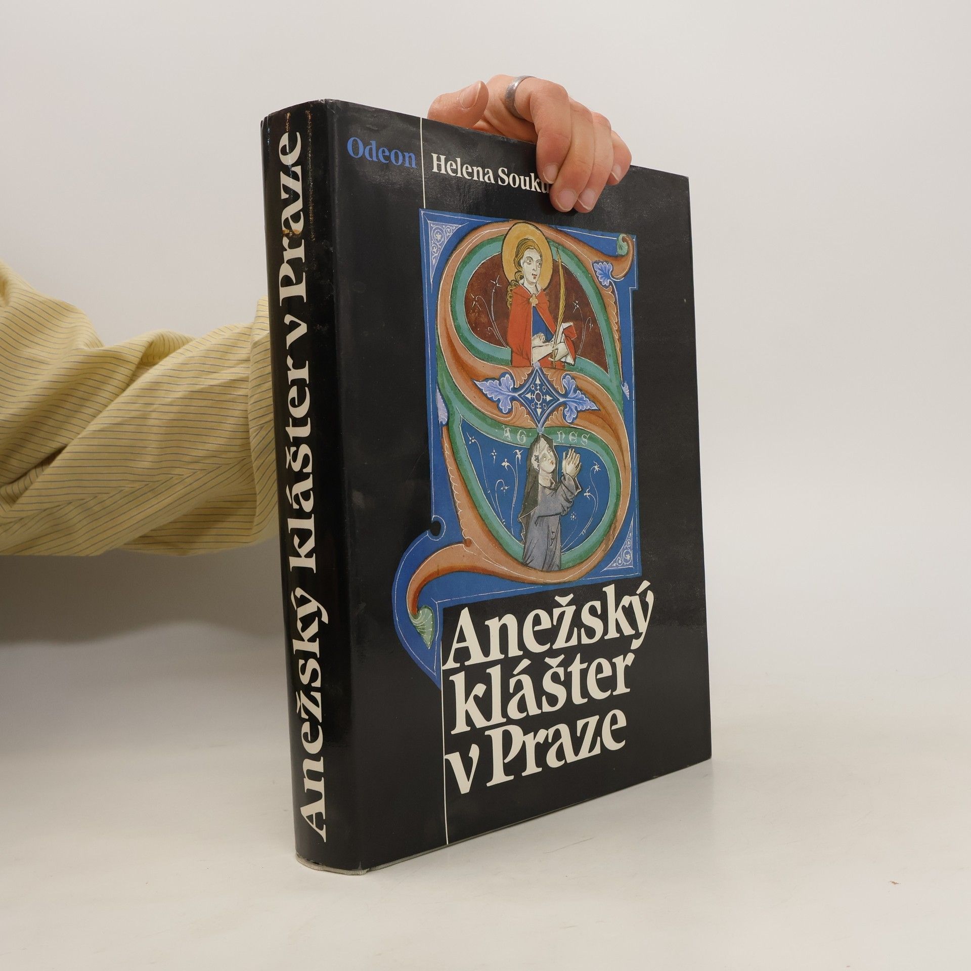 Helena Soukupová Anežský klášter v Praze