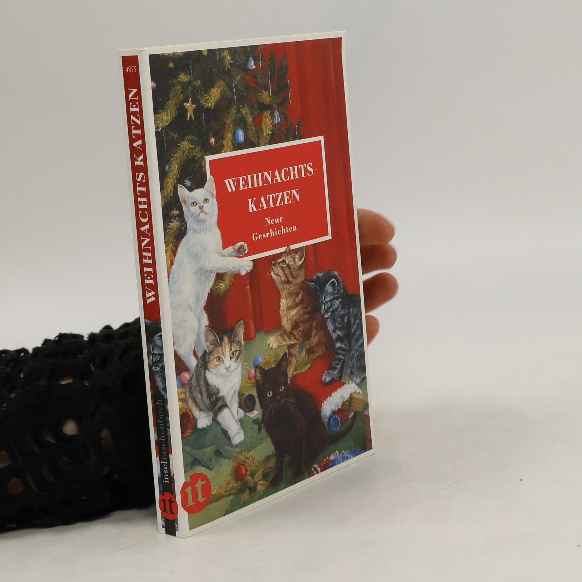 Gesine Dammel Weihnachtskatzen