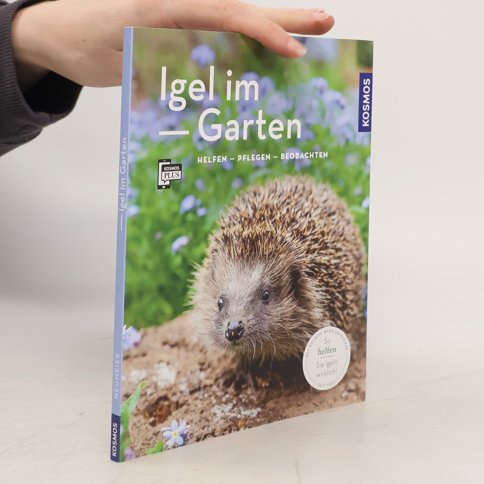 Angela Beck Igel im Garten