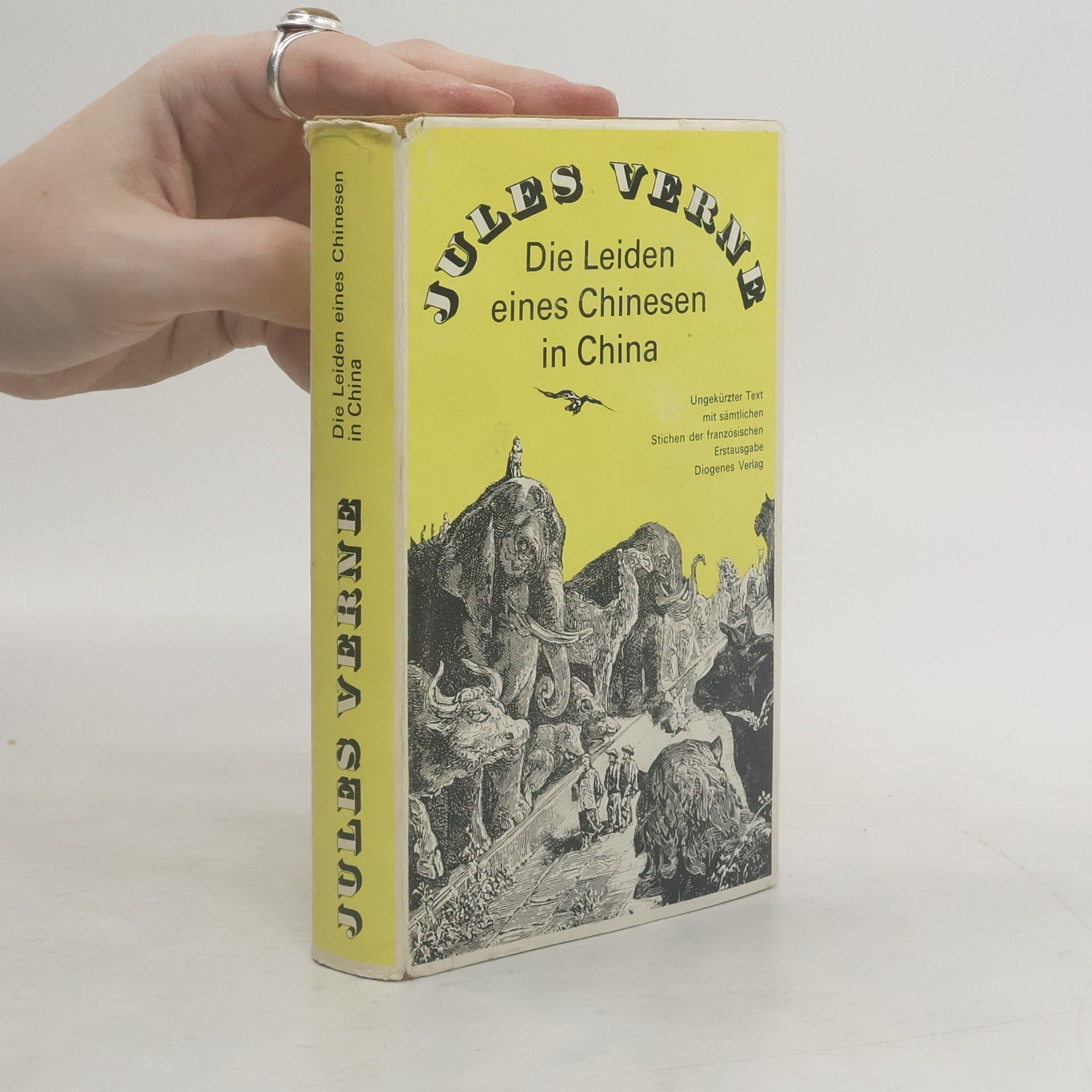 Jules Verne Die Leiden eines Chinesen in China