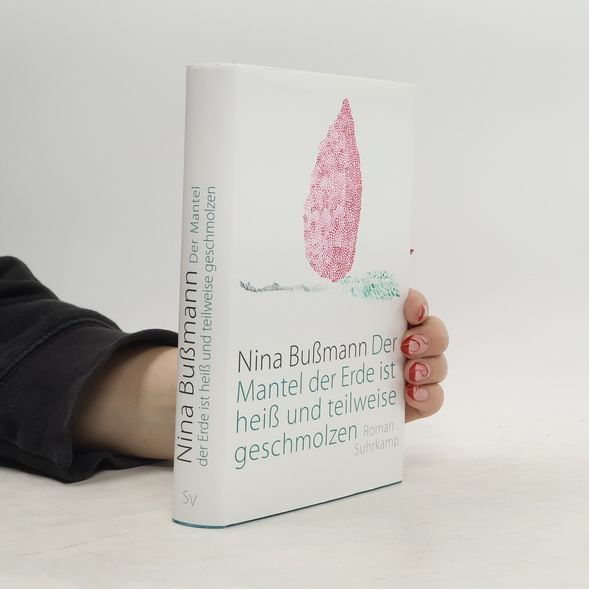 Nina Bußmann Der Mantel der Erde ist heiß und teilweise geschmolzen