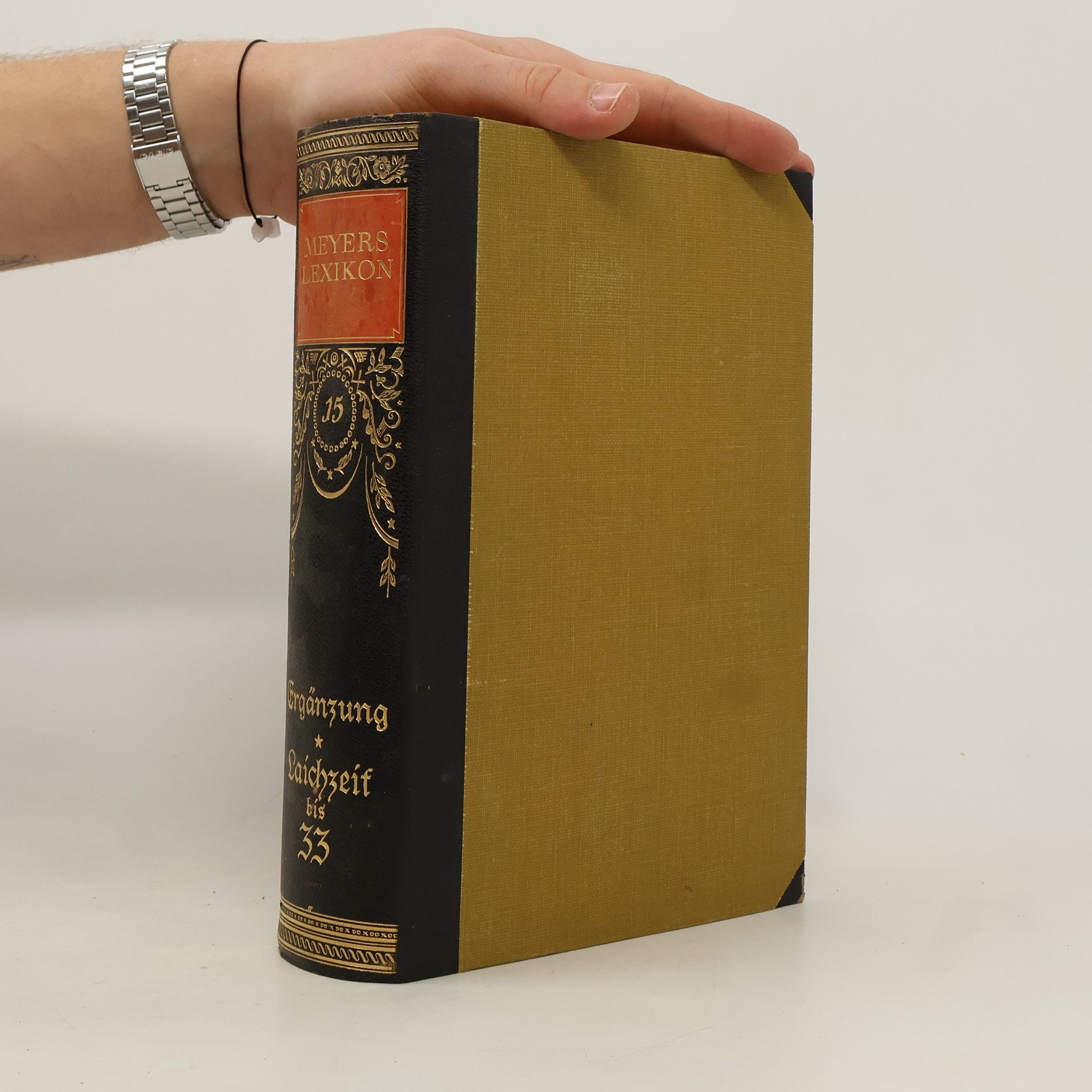 Collectif d'auteurs Meyers Lexikon 33