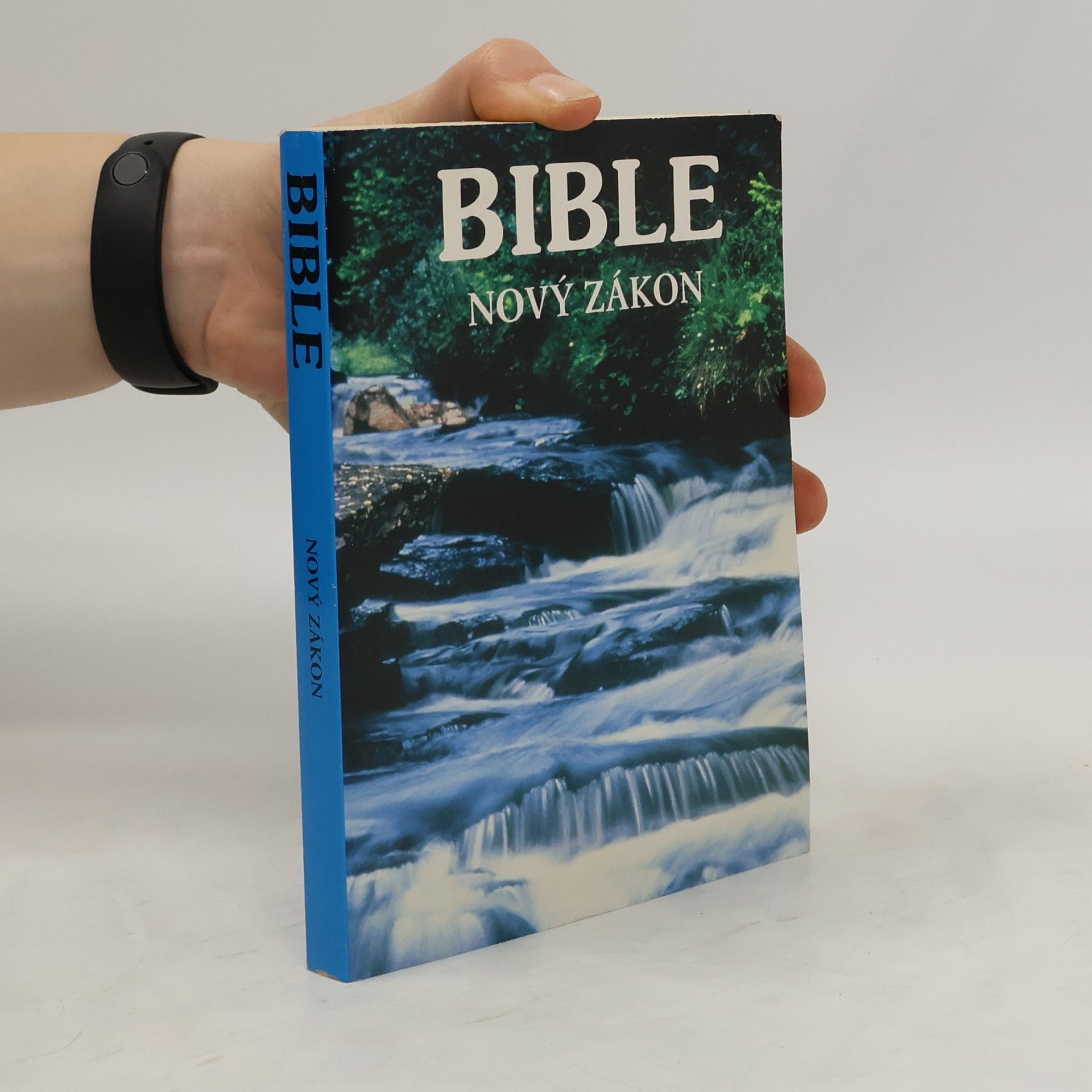 Autorenkollektiv Bible