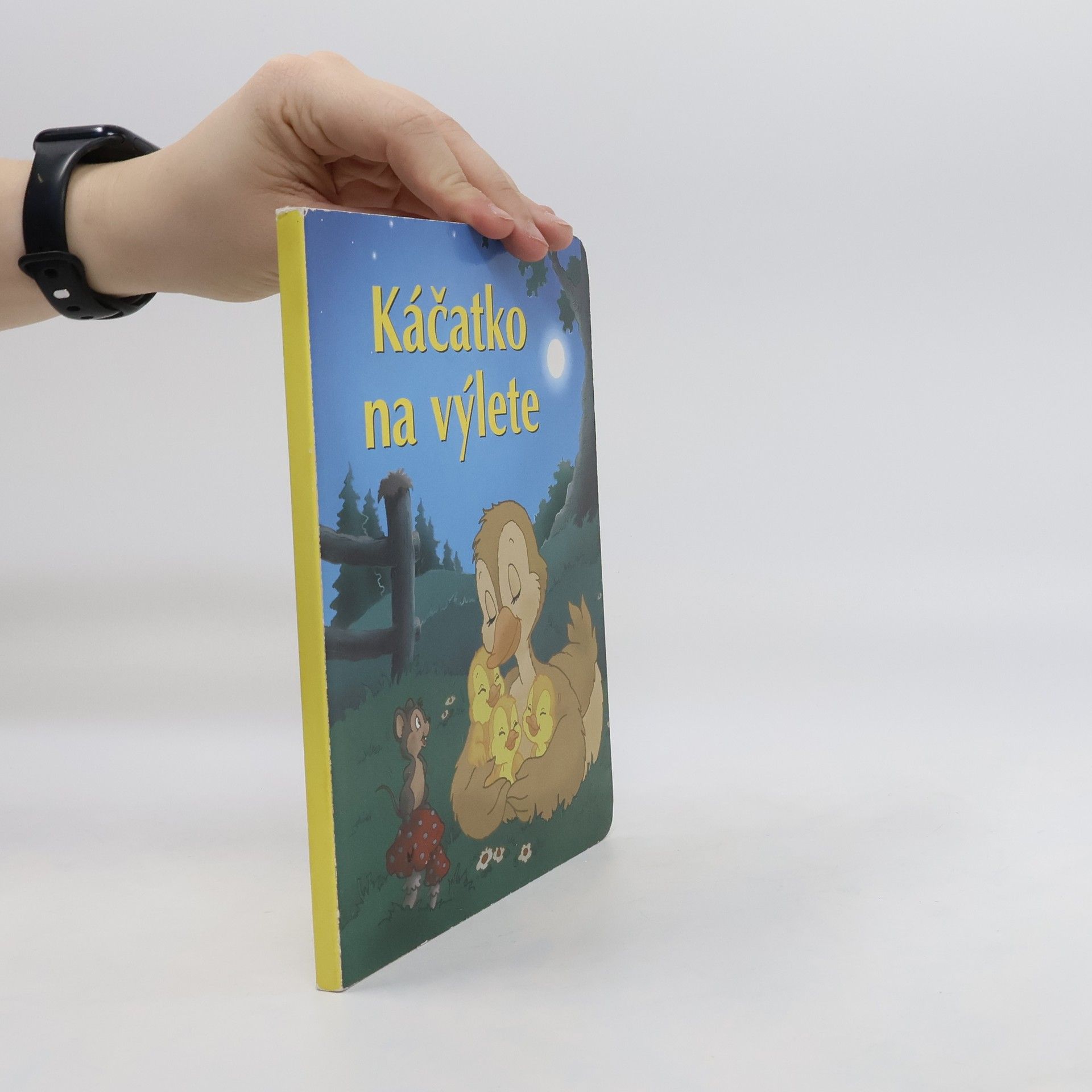 Kolektiv autorů Káčátko na výletě