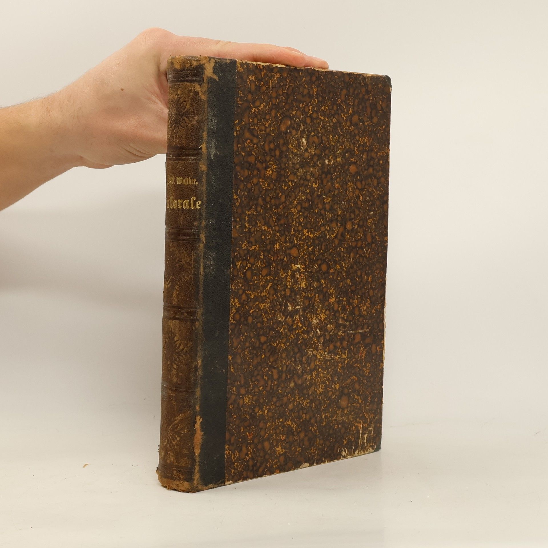 Americanisch-Lutherische Pastoraltheologie