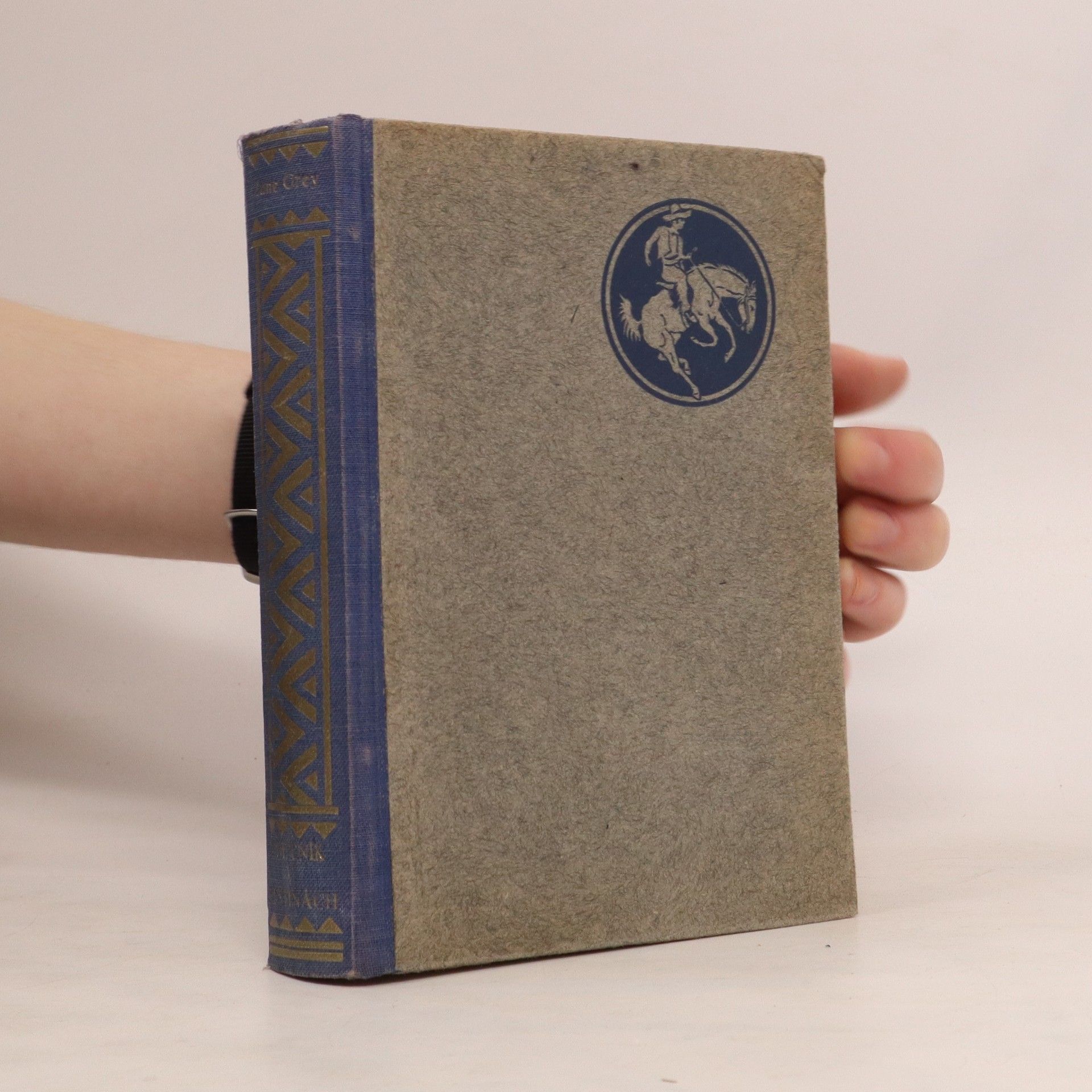 Zane Grey Poutník v pustinách
