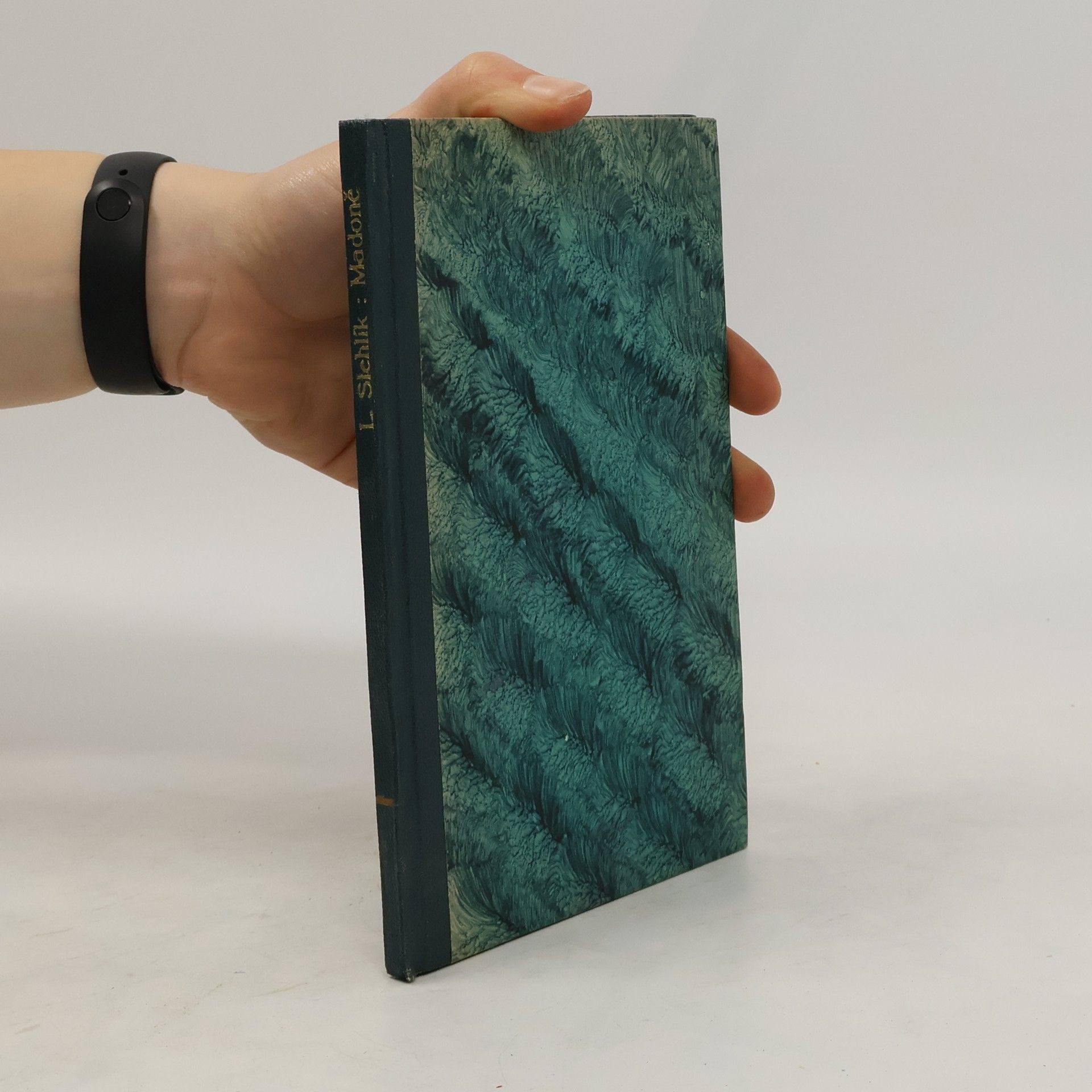 Ladislav Stehlík Madoně