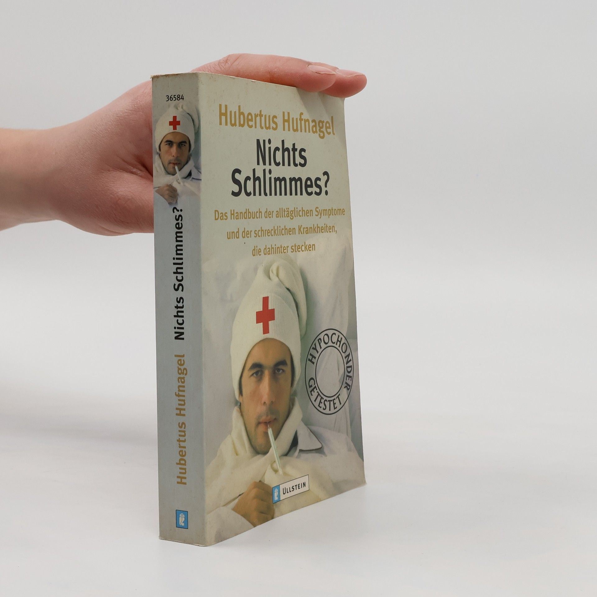 Hubertus Hufnagel Nichts Schlimmes?