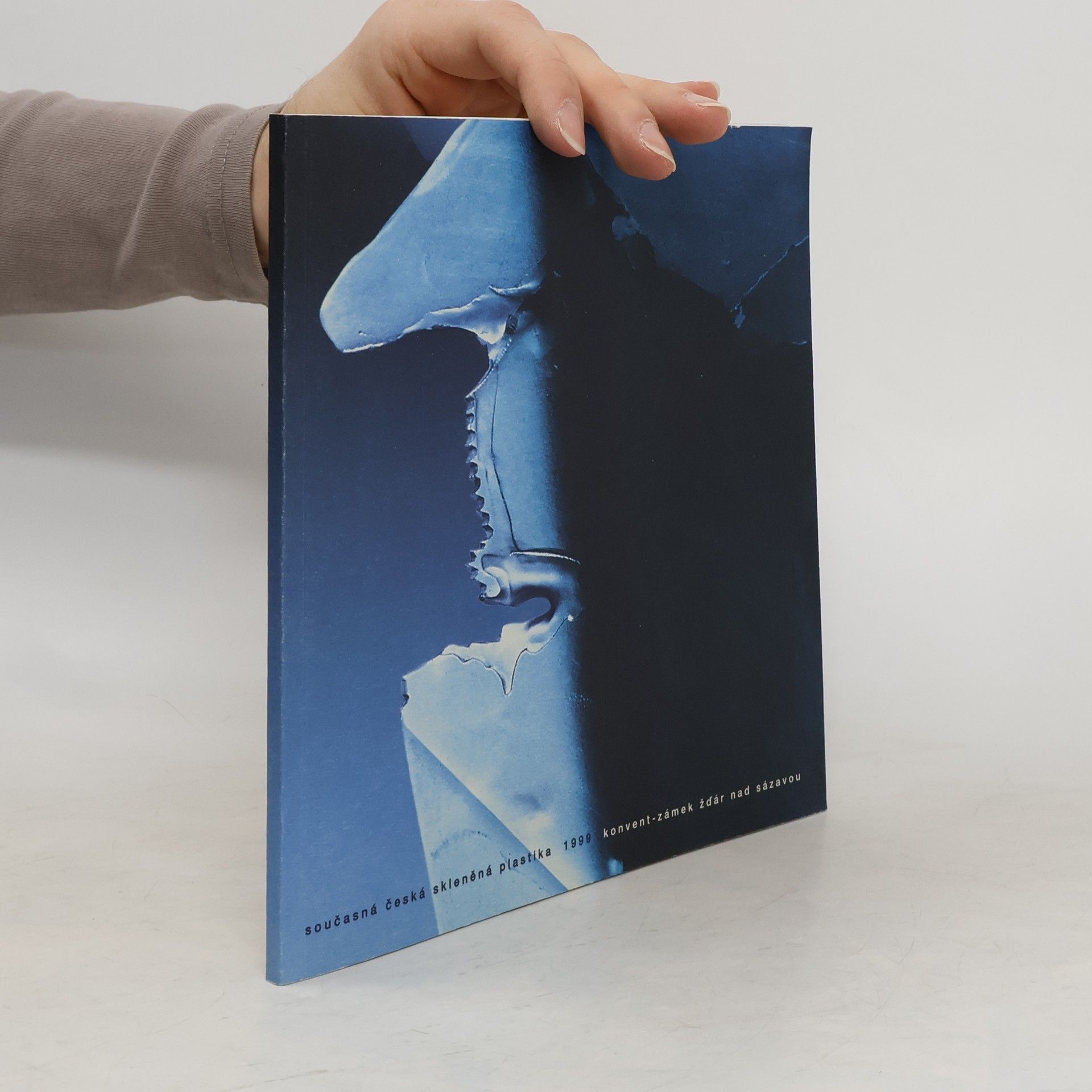 AA.VV. Současná česká skleněná plastika 1999
