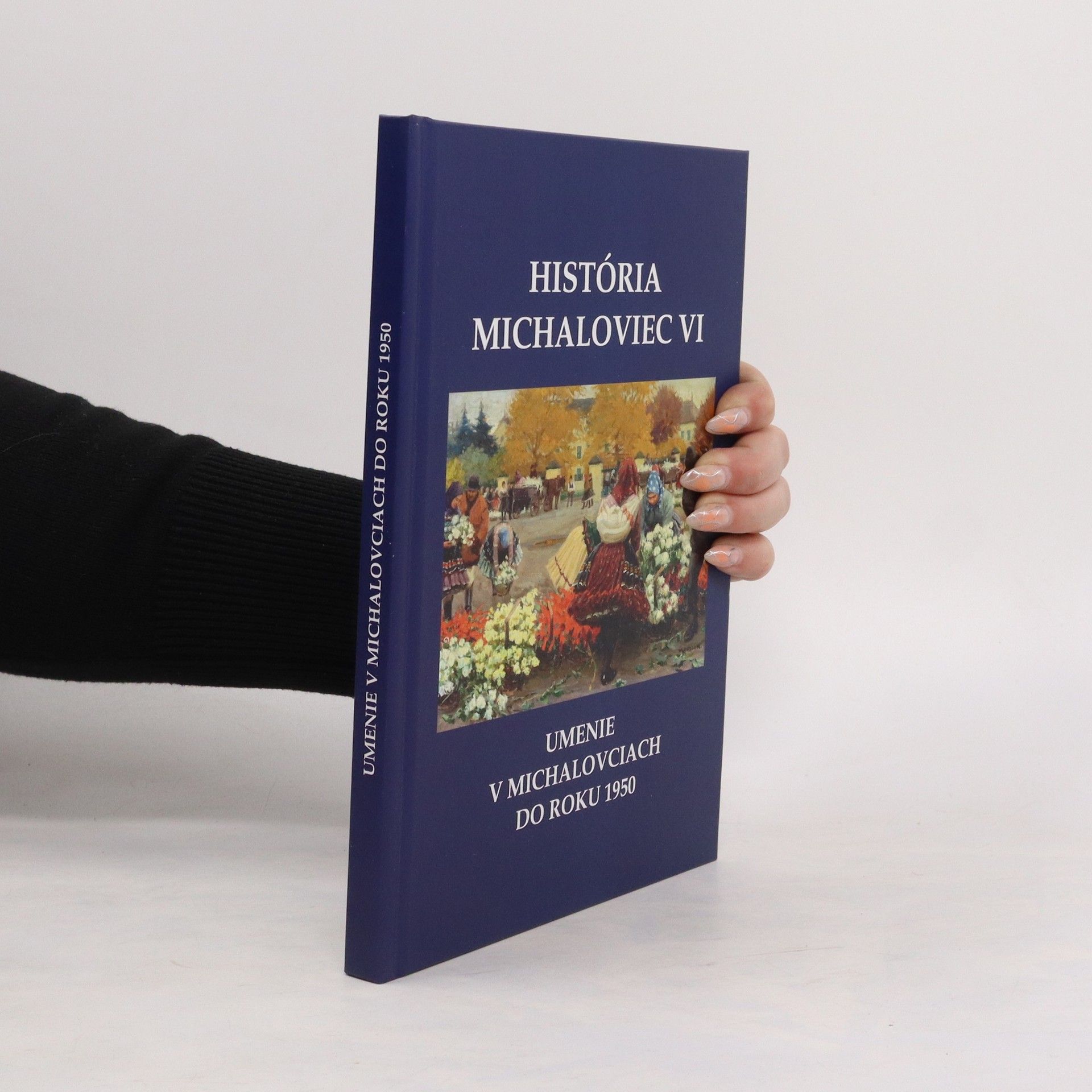 Collectif d'auteurs História Michaloviec VI.
