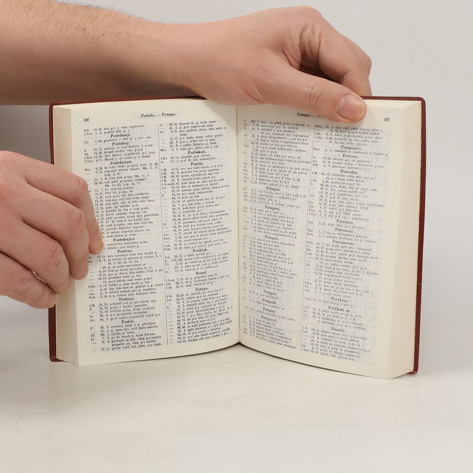 Kolektiv autorů Biblická Konkordance