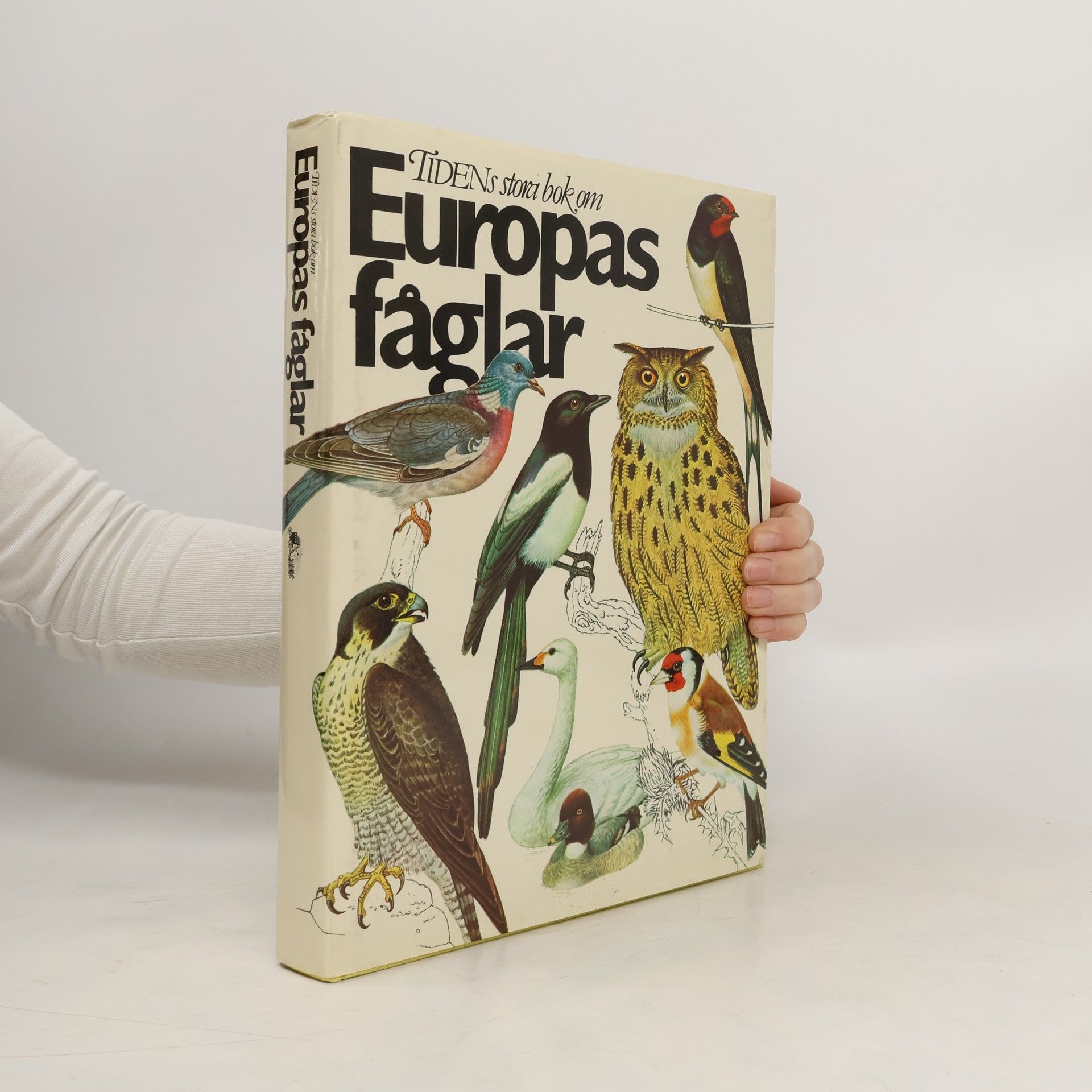 AA.VV. Europas Faglar