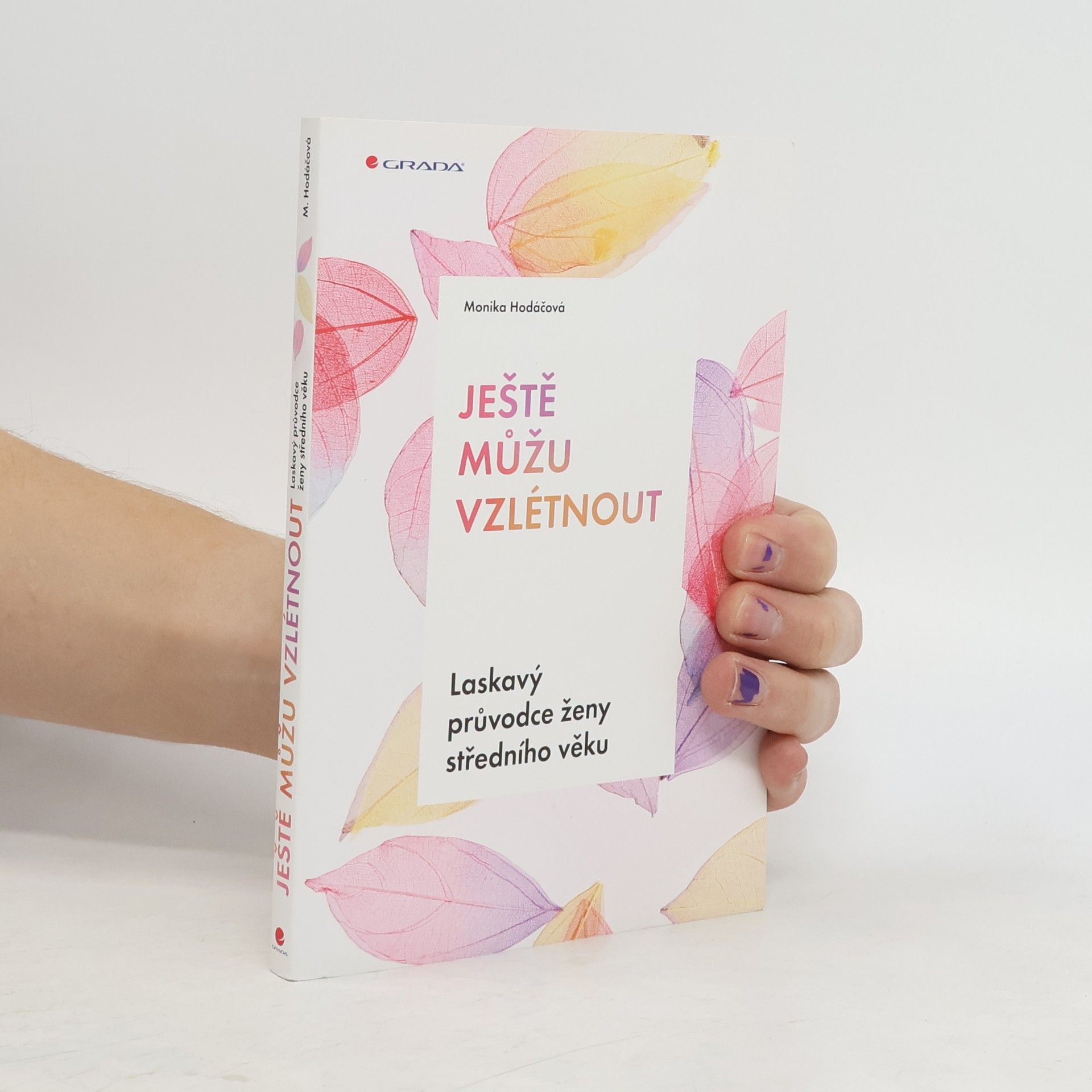 Monika Hodáčová Ještě můžu vzlétnout