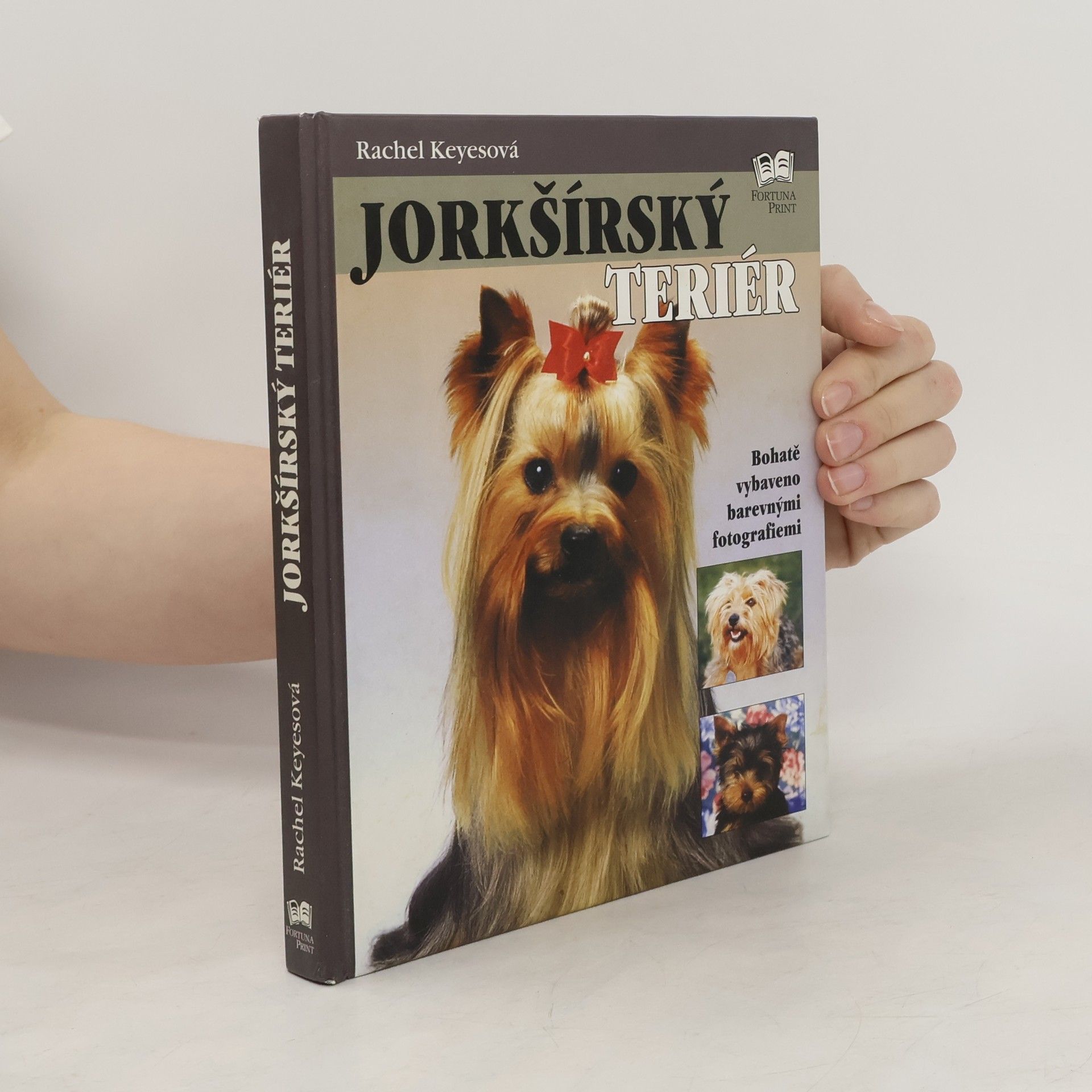 Rachel Keyes Jorkšírský teriér
