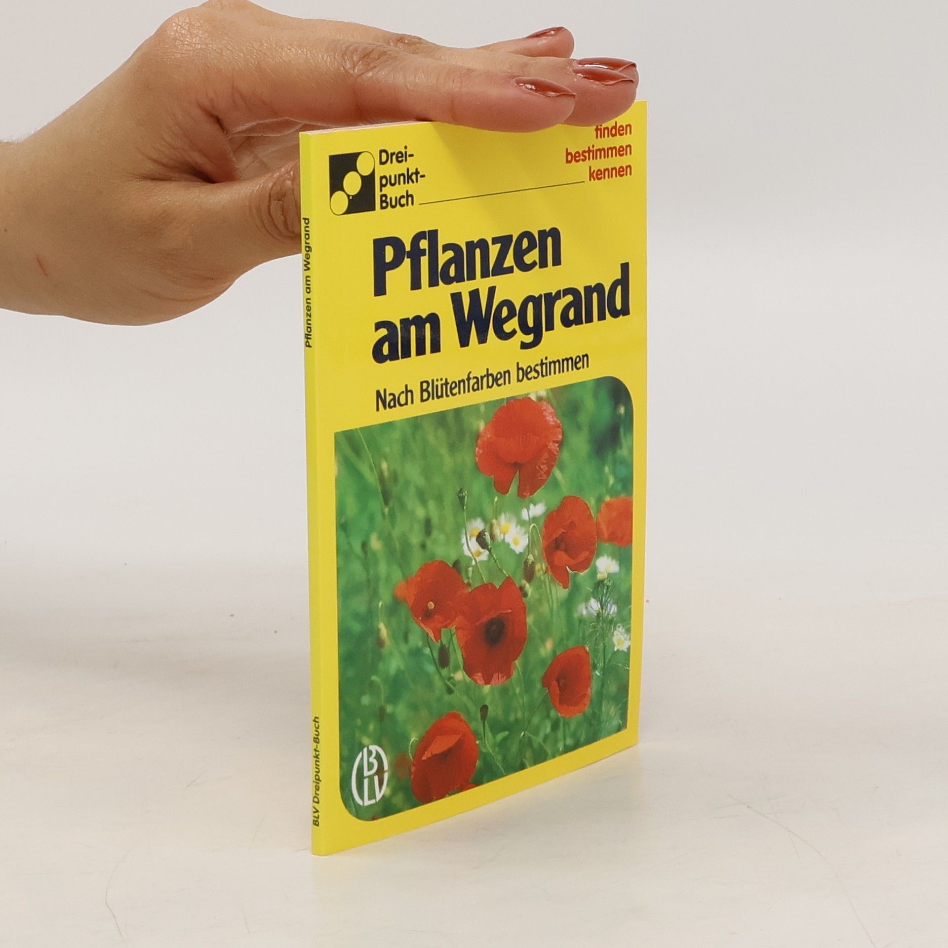 Autorenkollektiv Pflanzen am Wegrand