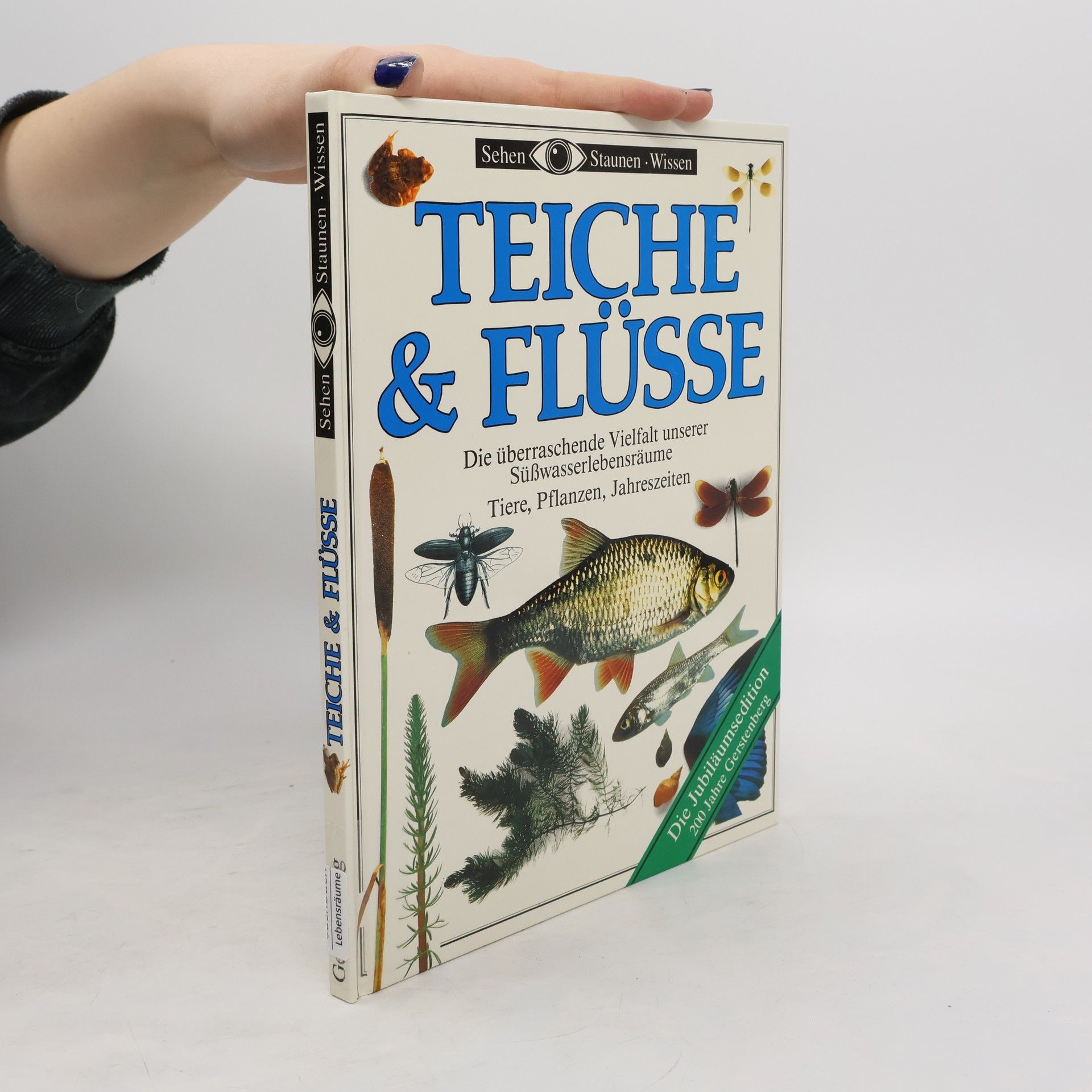 Collectif d'auteurs Teiche & Flüsse