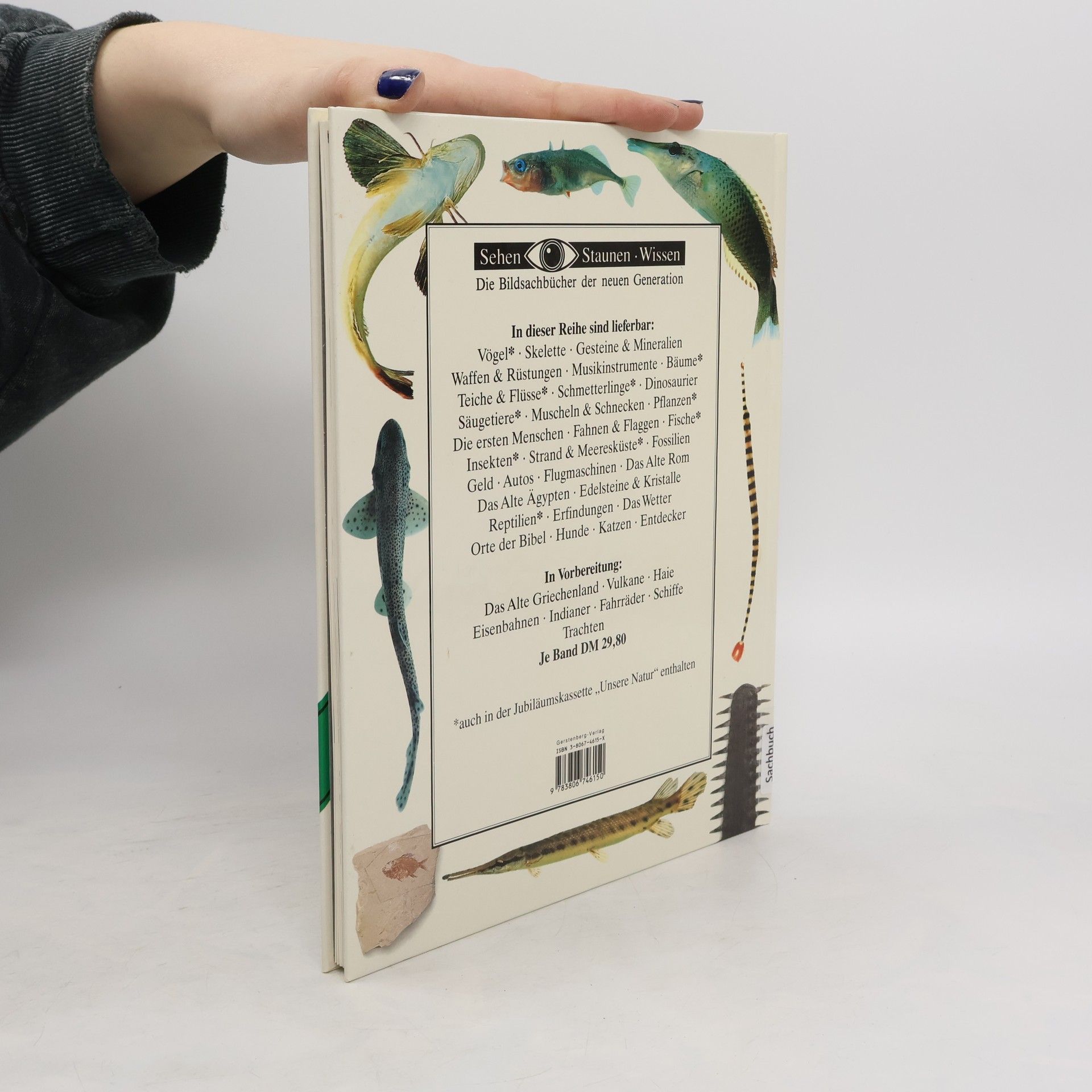 Autores varios Fische