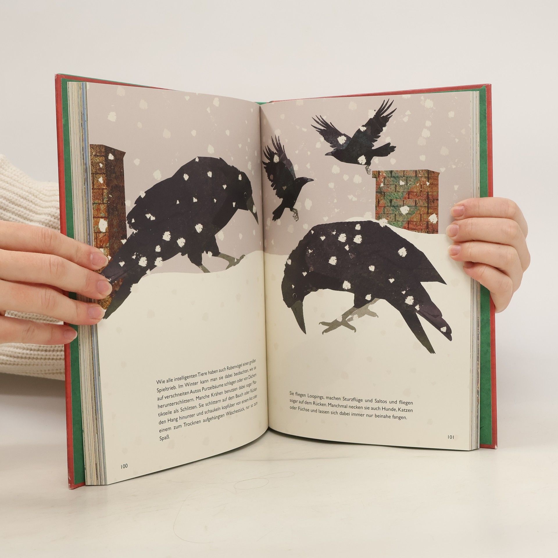 Britta Teckentrup Von Raben und Krähen