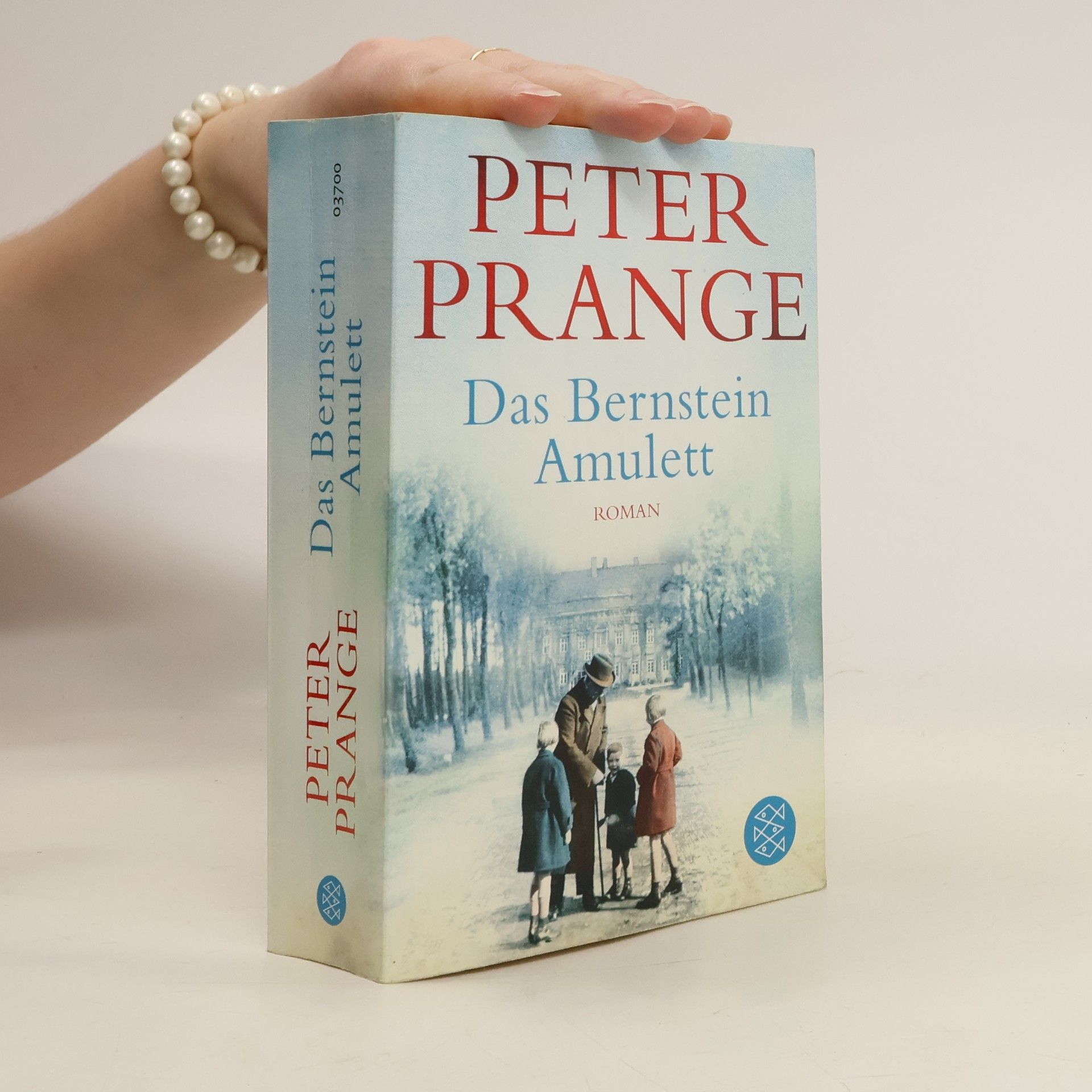 Peter Prange Das Bernstein-Amulett