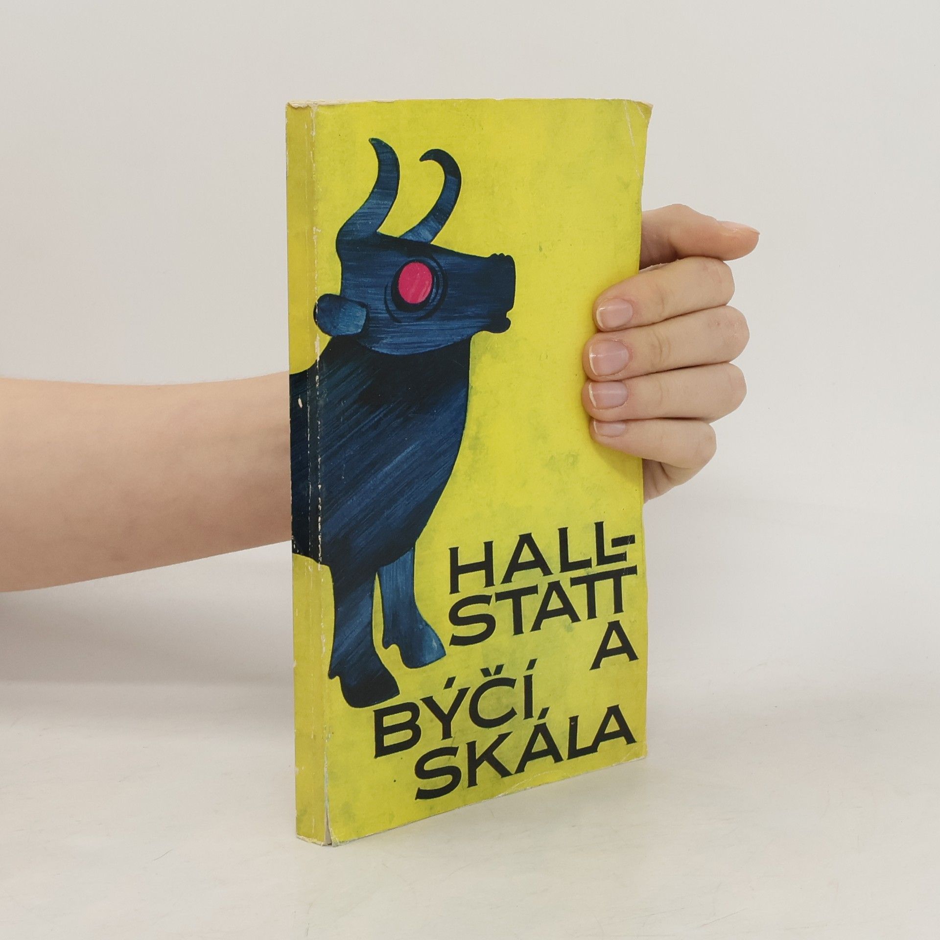 Kolektiv autorů Hallstatt a Býčí skála