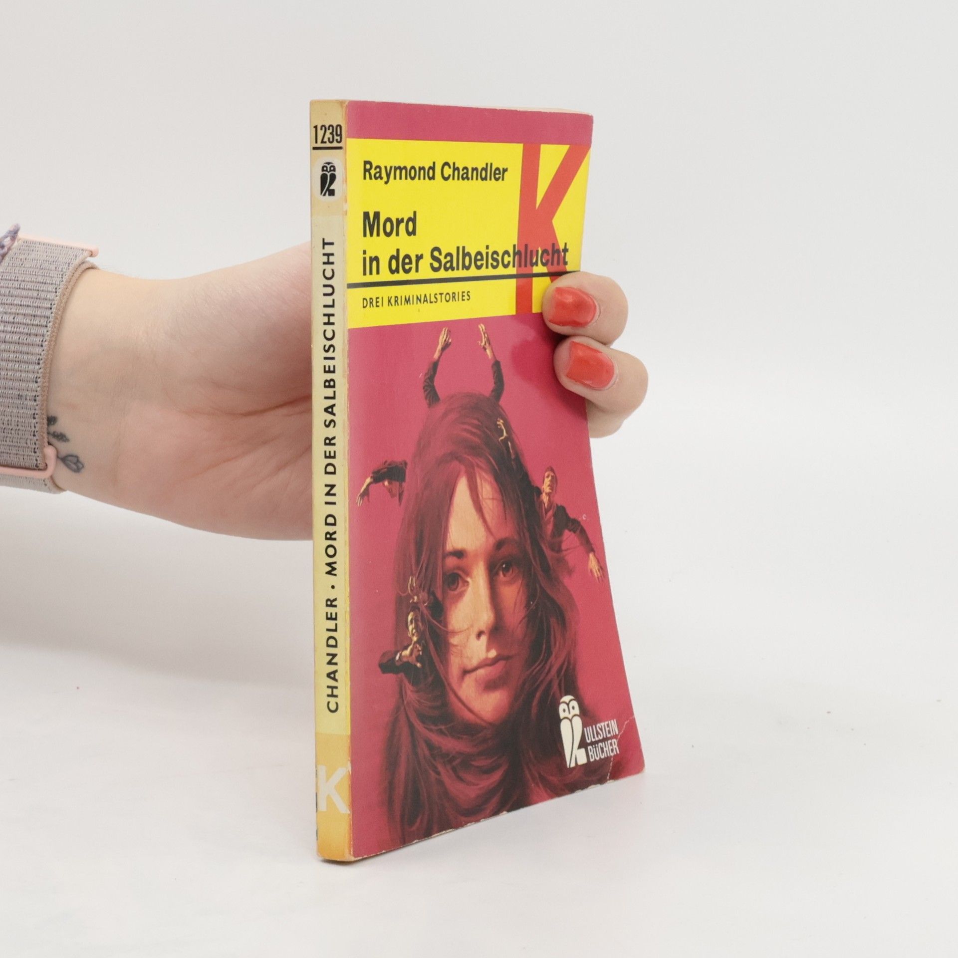 Raymond Chandler Mord in der Salbeischlucht