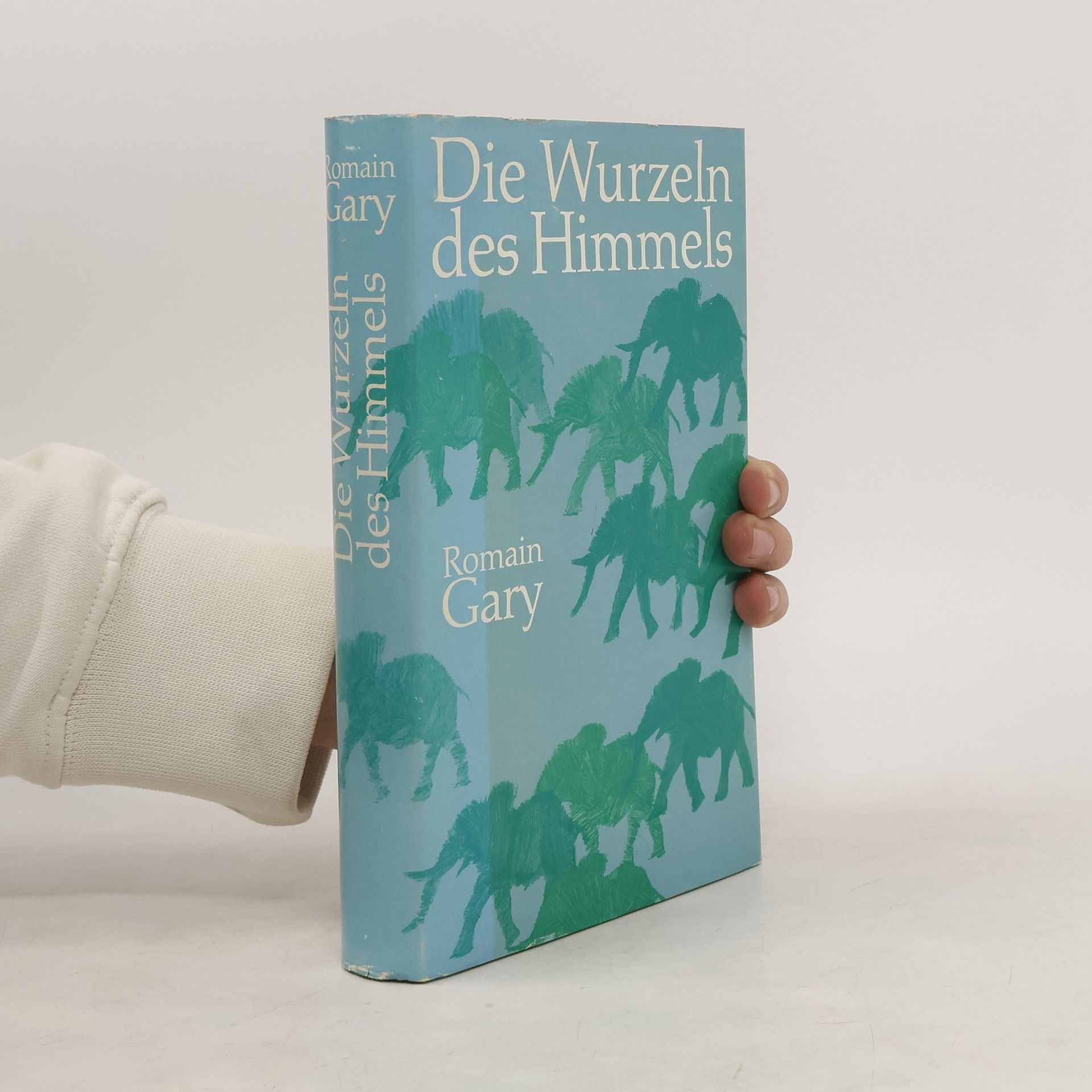Roman Gary Die Wurzeln des Himmels