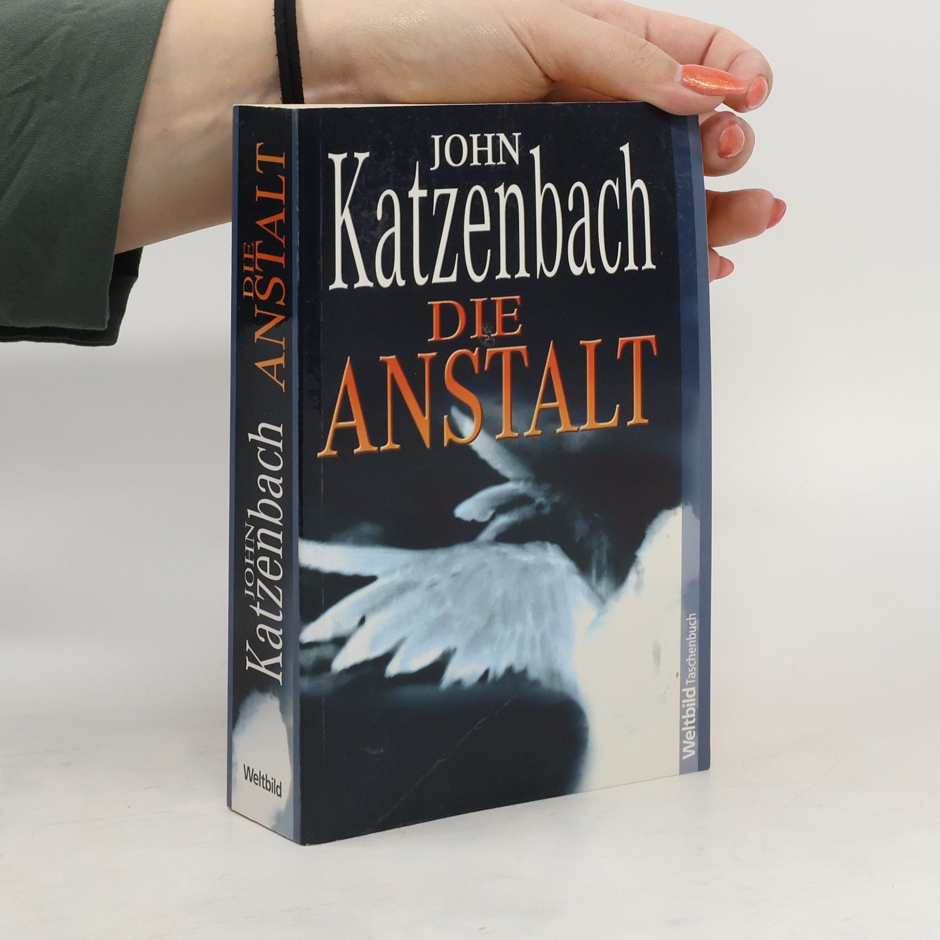 John Katzenbach Die Anstalt