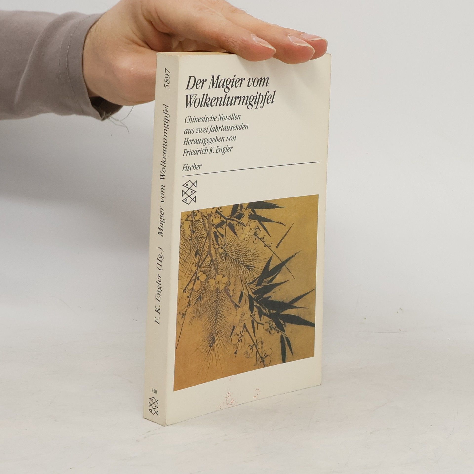 Friedrich K. Engler Der Magier vom Wolkenturmgipfel. Chinesische Novellen aus zwei Jahrtausenden