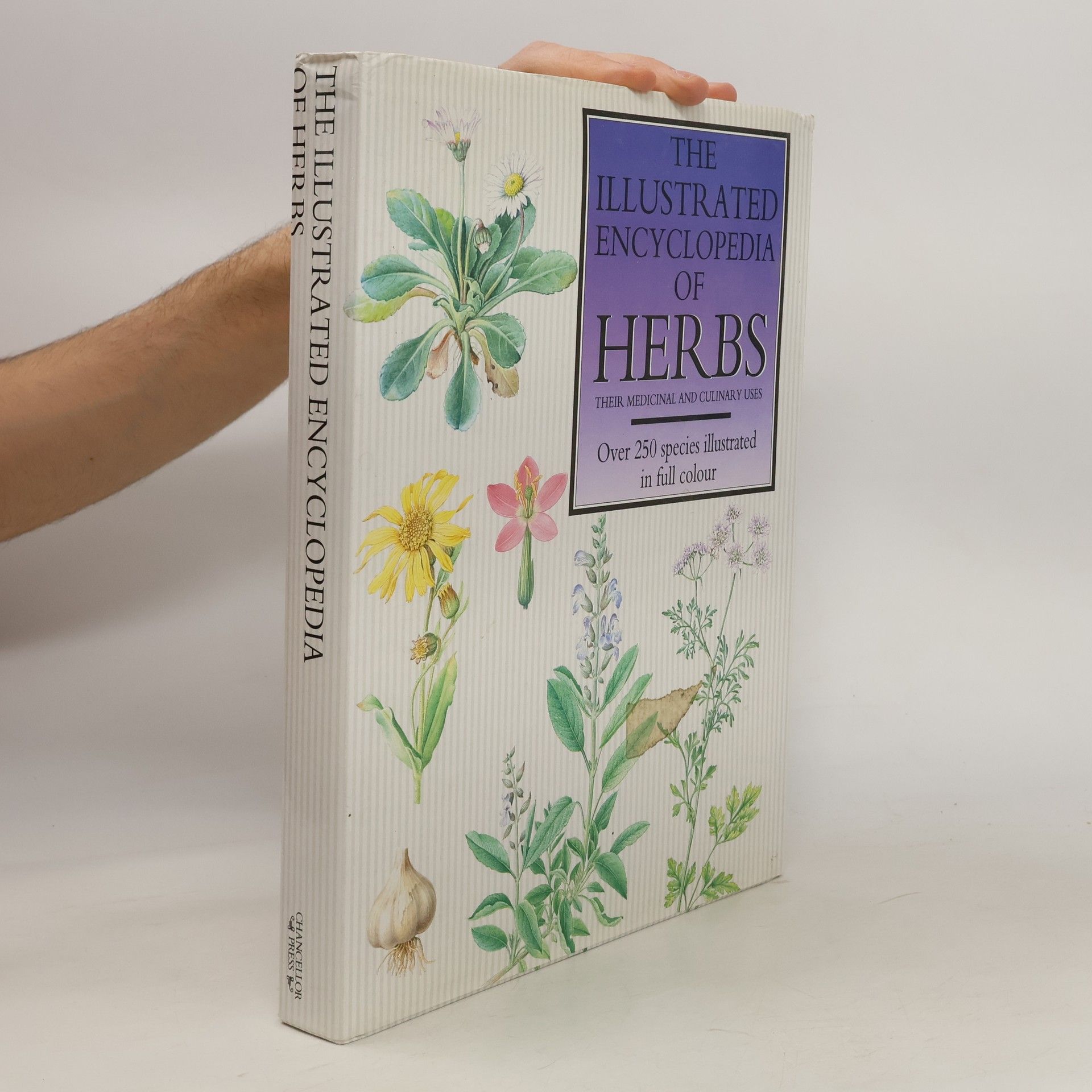 Autorenkollektiv The Illustrated Encyclopedia of Herbs